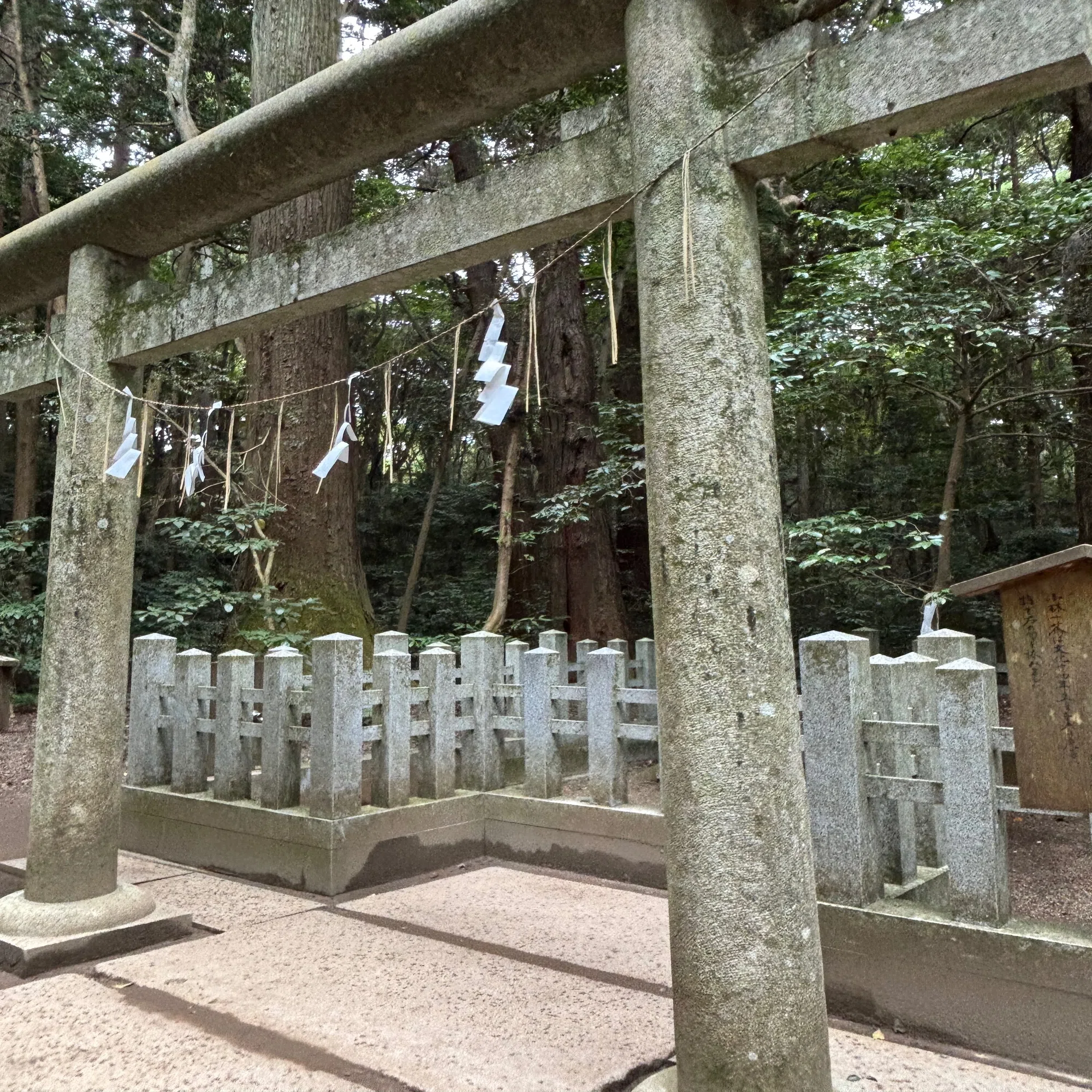はとバス三社巡り、鳥栖神社から香島神宮へ｜yumiパンダ