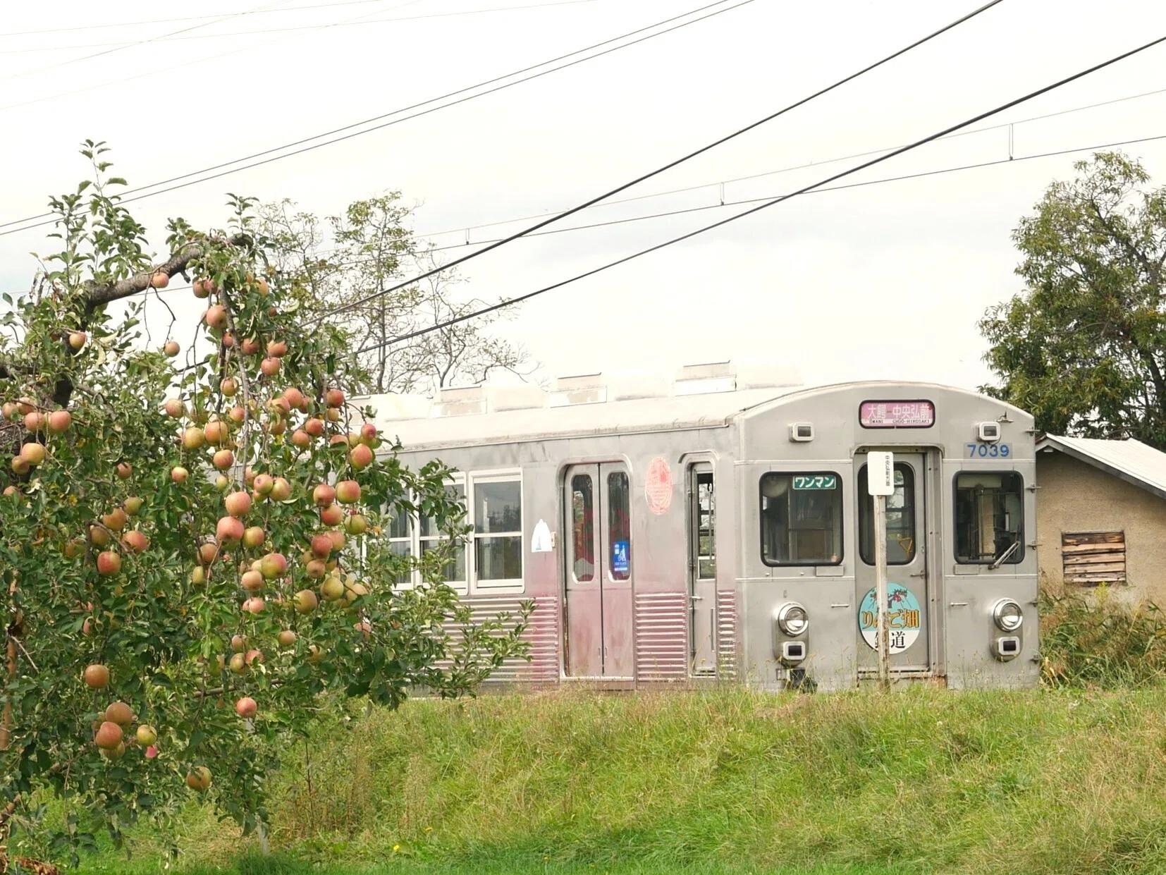 625 がんばれ、ぼくらのりんご列車〜事実上の廃止が決まった弘南鉄道