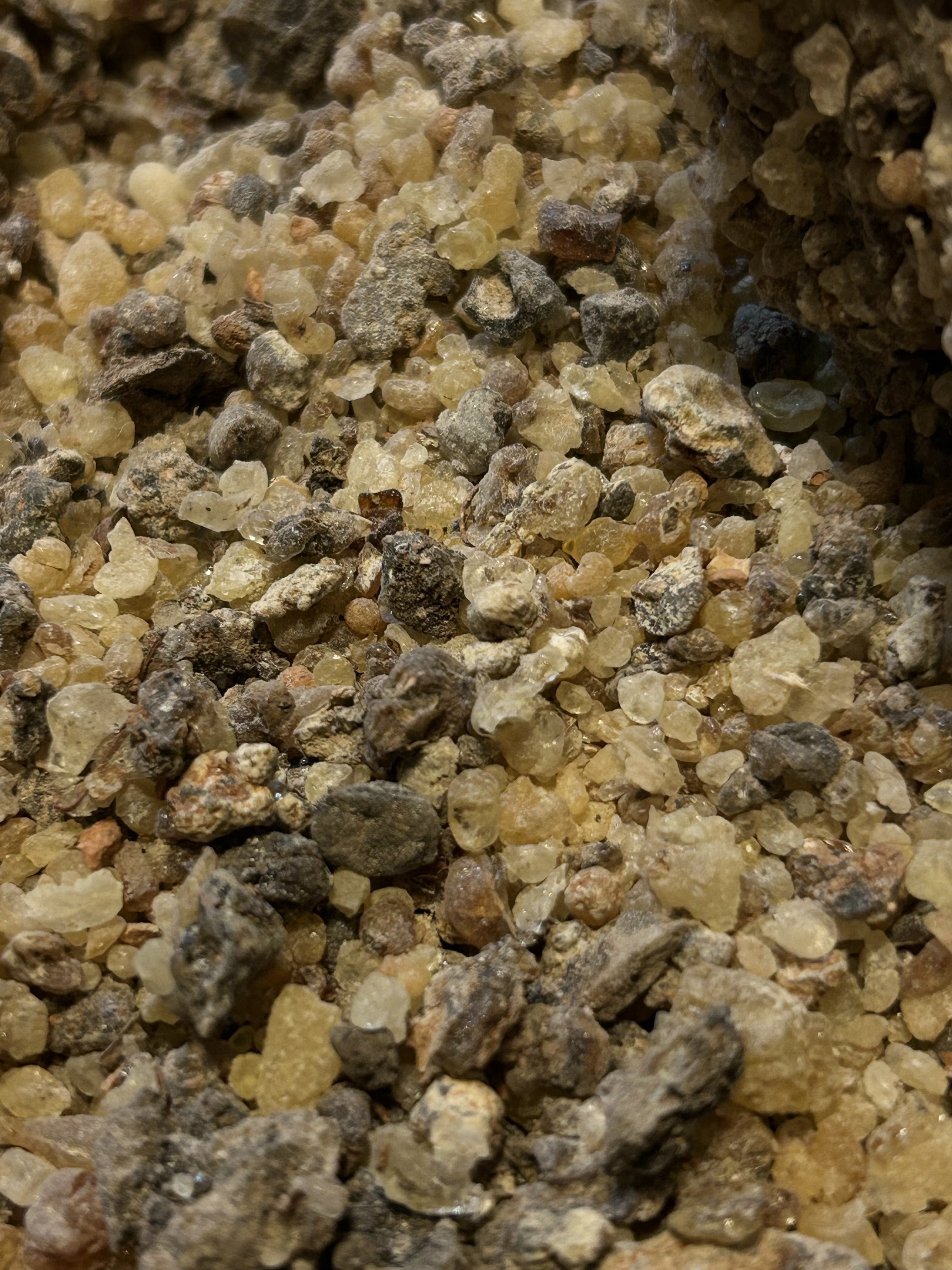 樹脂 ボスウェリア ディオスコリディス（乳香）｜Scents of Earth