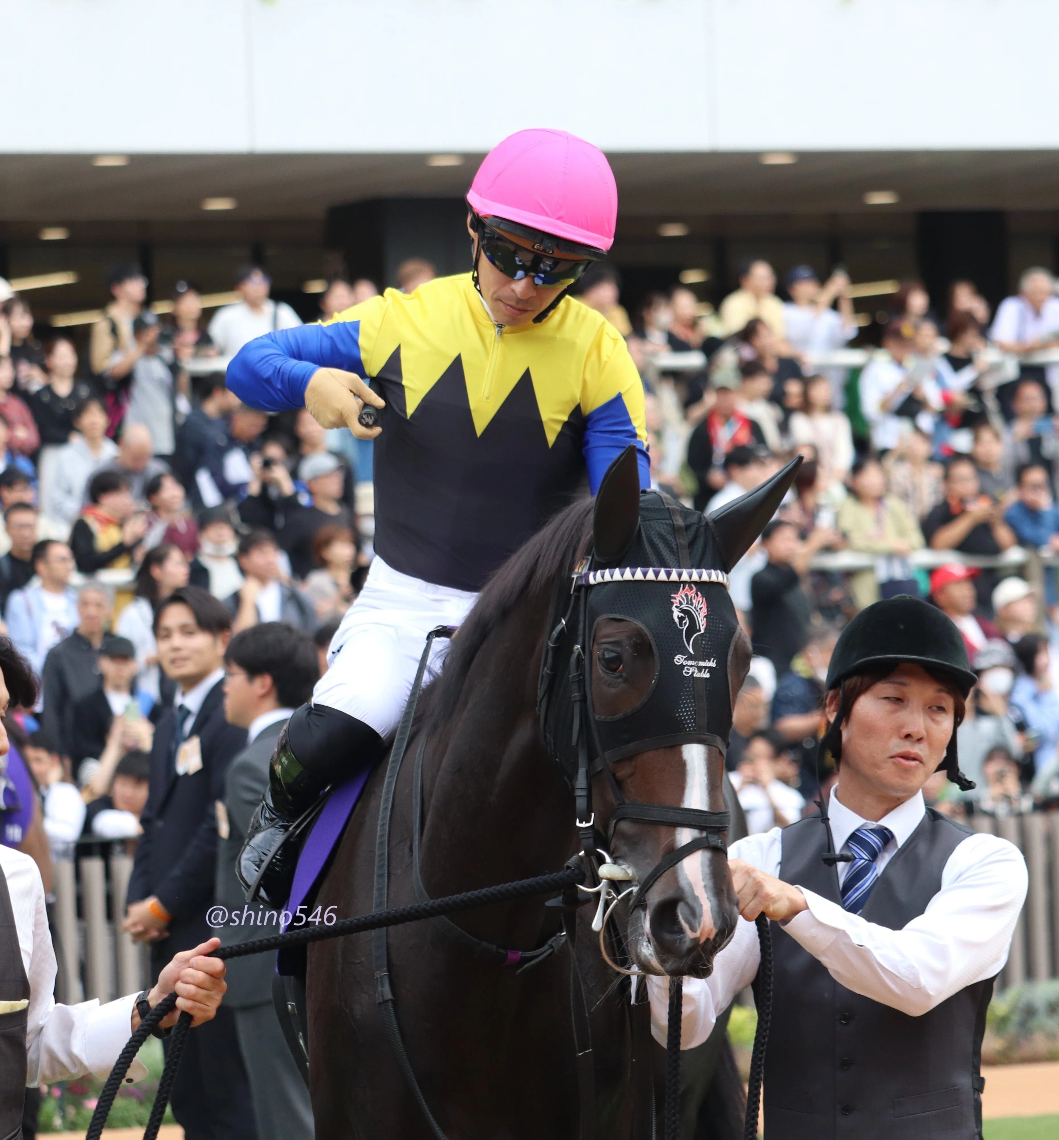 2025.10.19 秋華賞 全馬PHOT@京都競馬場｜shino546