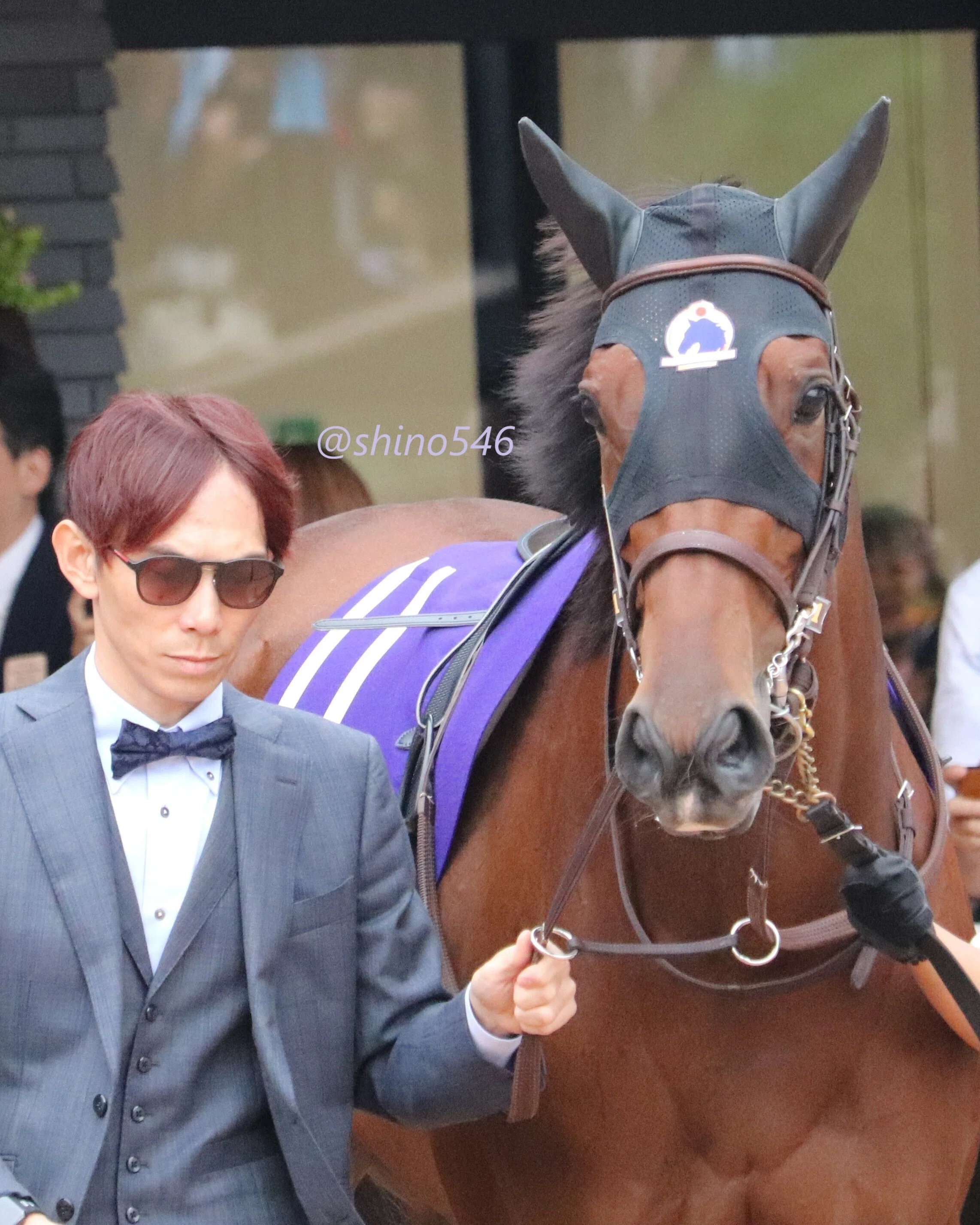 2025.10.19 秋華賞 全馬PHOT@京都競馬場｜shino546
