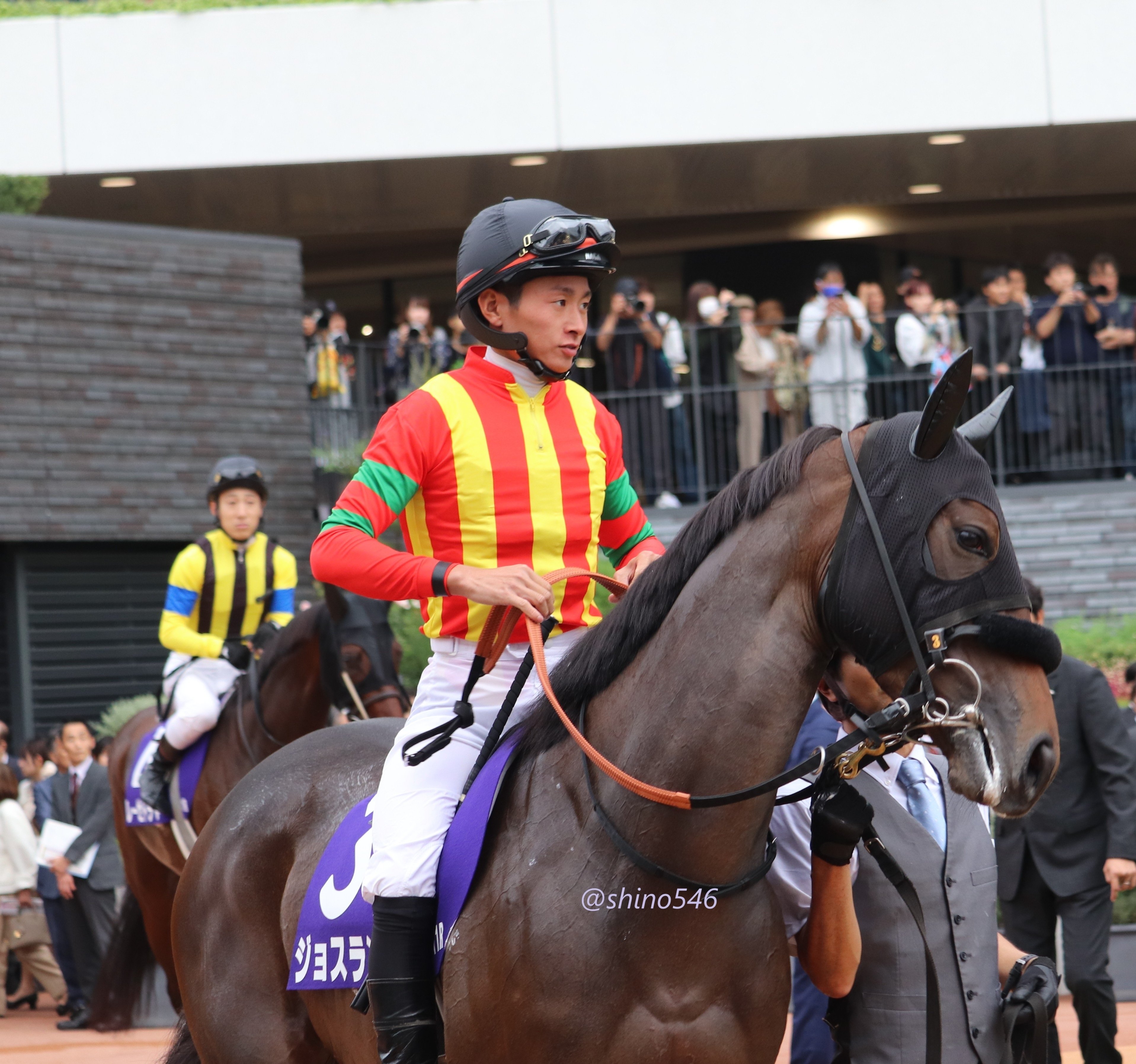 2025.10.19 秋華賞 全馬PHOT@京都競馬場｜shino546