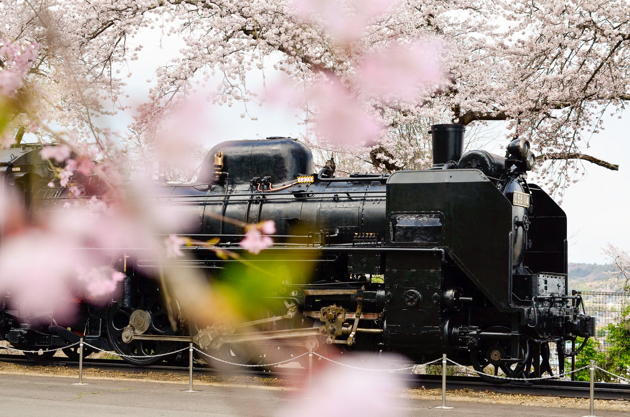 C58 114号機「シゴハチさん」の保存活動に参加して約1年が過ぎました