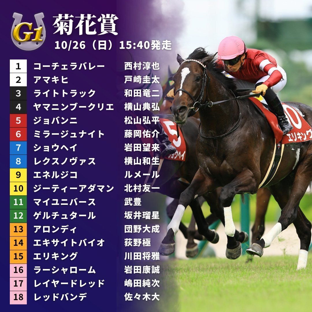 菊花賞 GⅠ 勝利への鍵🔑5点 調教BEST 5頭🏇 馬pro予想・買い目公開