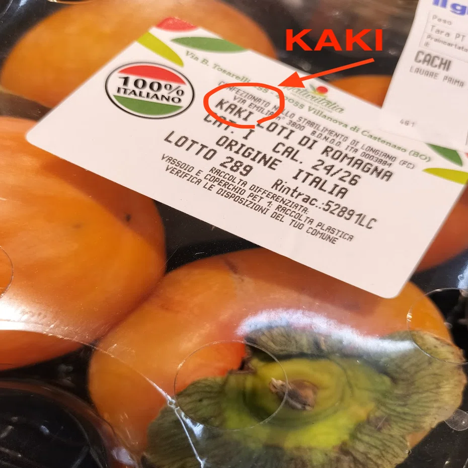 KAKI 柿 かき カキ｜高雄一史 (taka) ossu