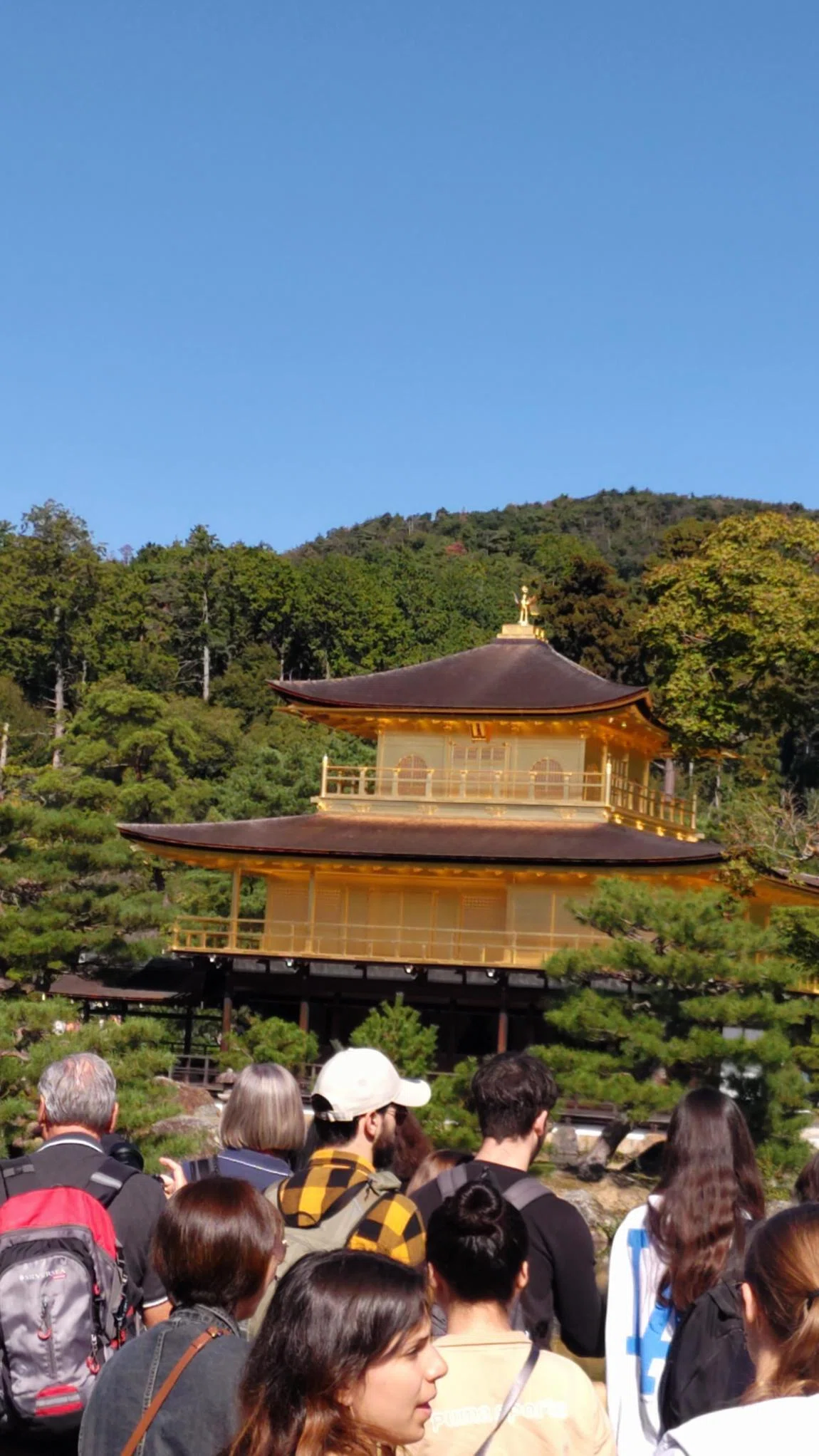 中3修学旅行（大阪・京都）☆2・3日目｜【公式】長崎県立長崎東中学校