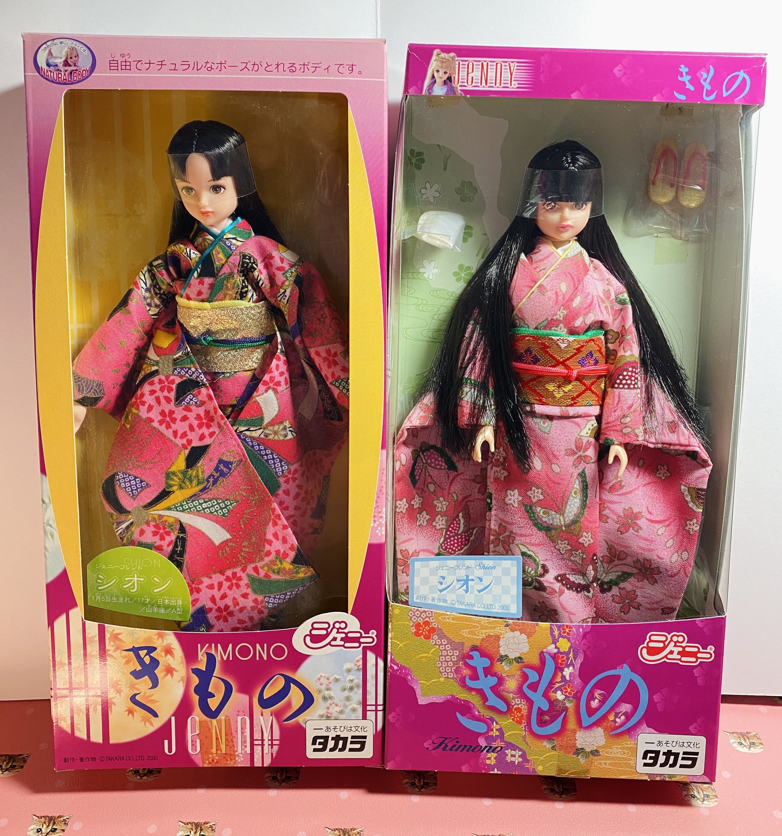 ジェニーフレンド・シオン｜シオン冬の時代｜シオン回顧録（2）｜なこ