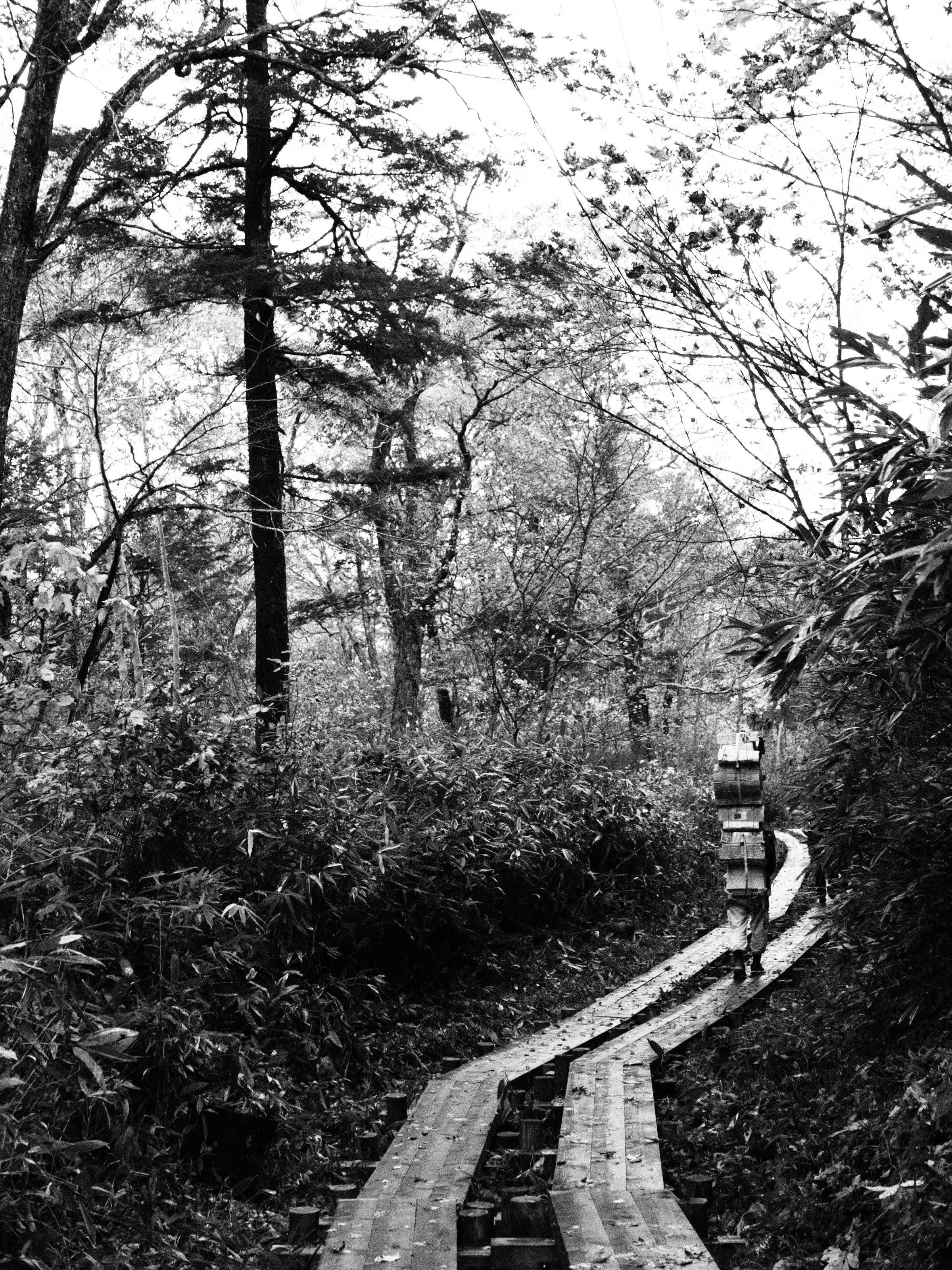 秋、モノクロで尾瀬を撮る。｜alcinist