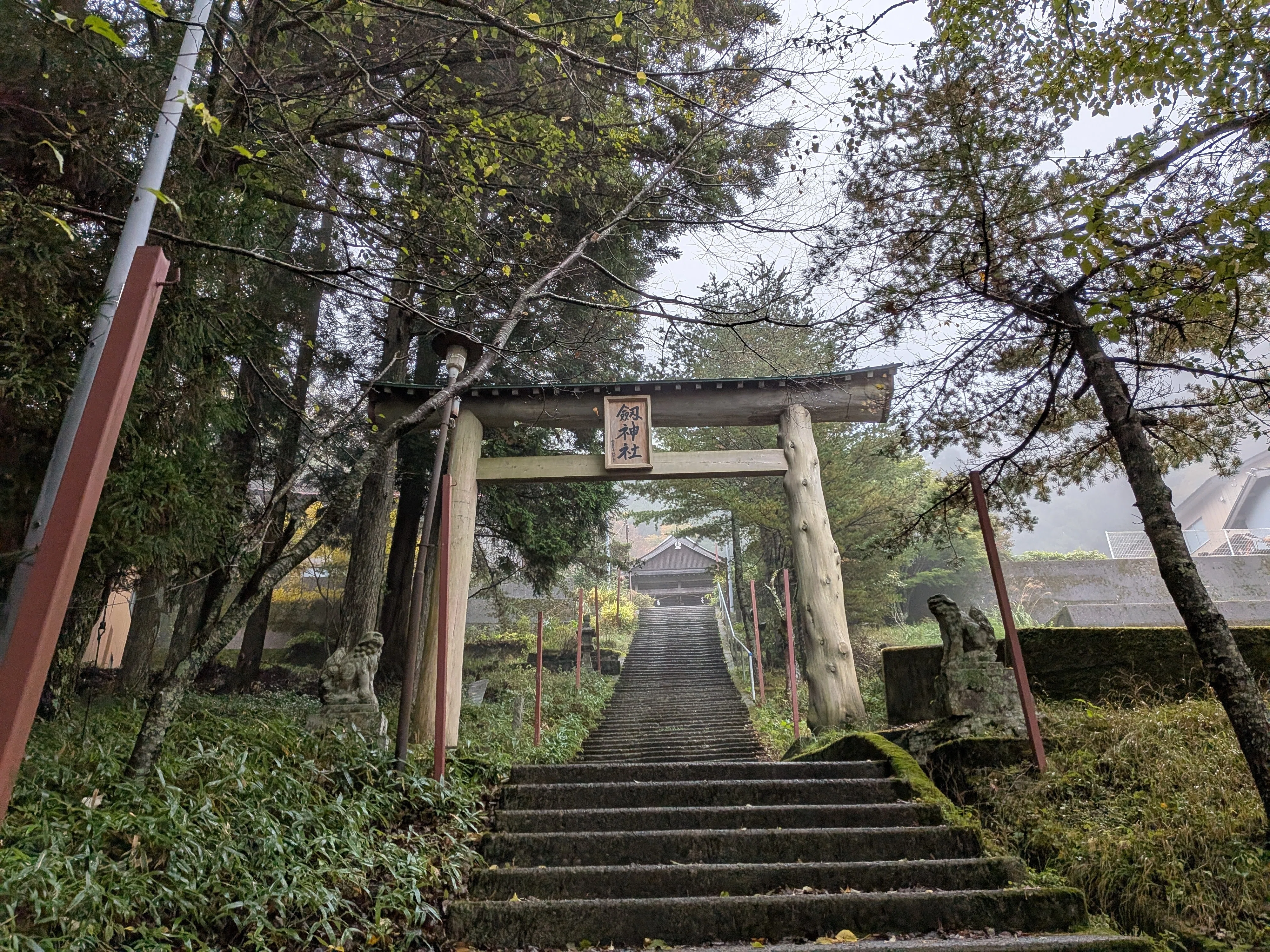 徳島】剱山本宮 奥まいり｜霧の霊峰と徳島の恵みをいただいた夜｜しま