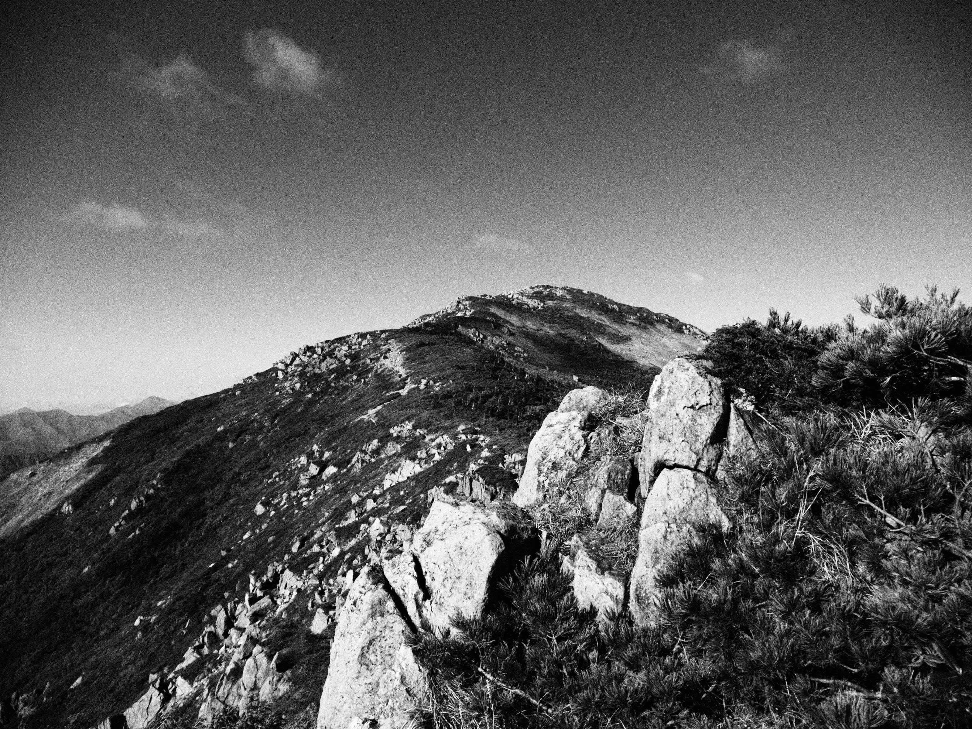 秋、モノクロで尾瀬を撮る。｜alcinist