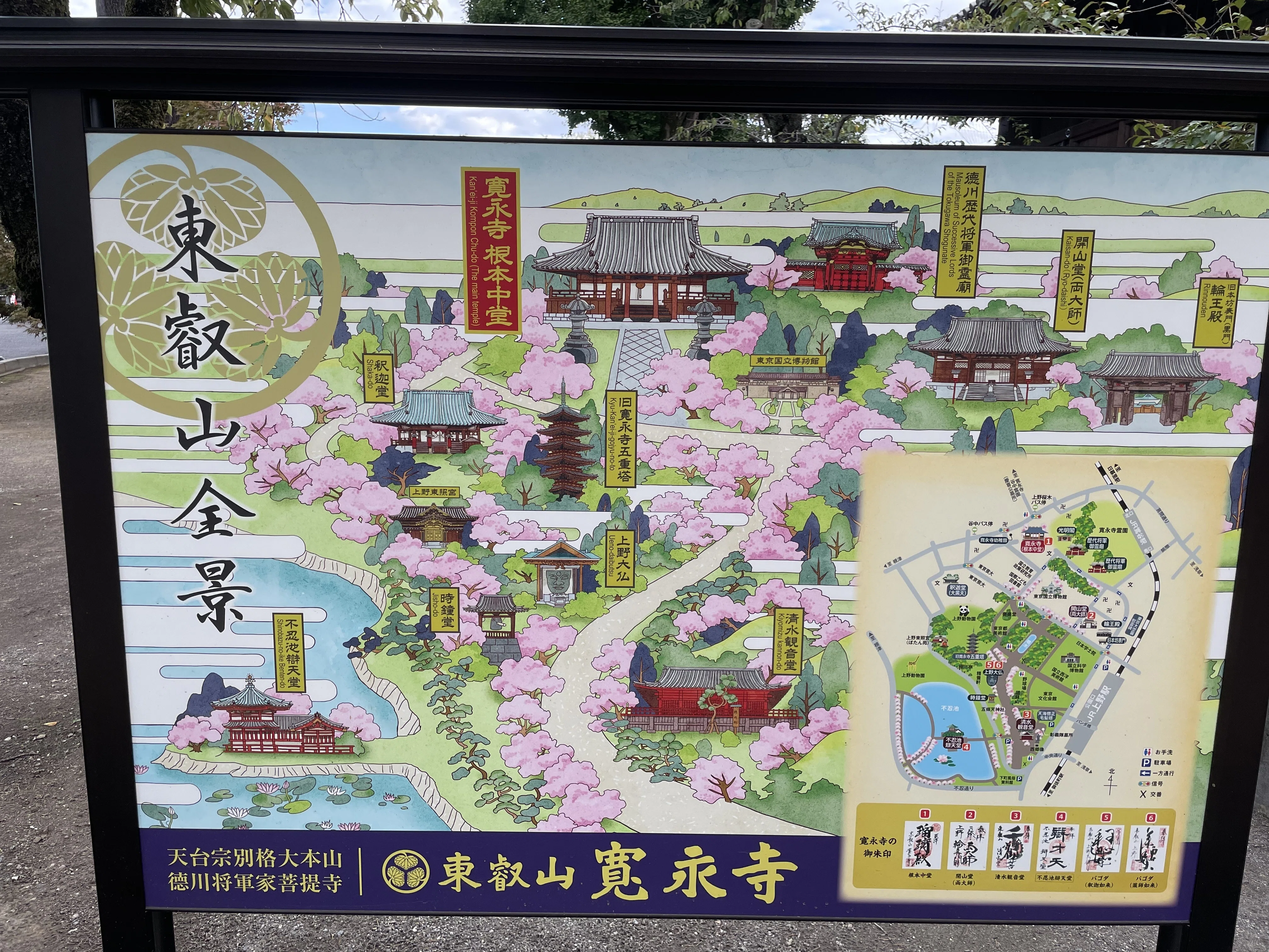 上野寛永寺 根本中堂天井絵「叡嶽双龍」特別公開に行ってきた 2025年10