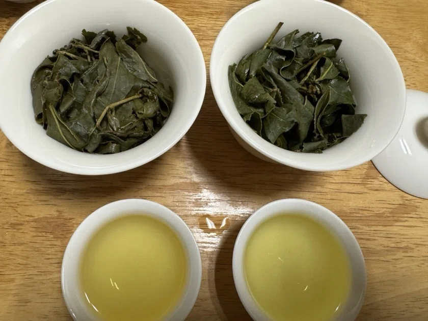 雪山茶 150g×2 台湾産 高山茶 茶葉フェスティバル認定 台湾・高山茶飲み比べ（雪霸觀霧烏龍茶2024vs杉林渓烏龍茶2025）｜横山