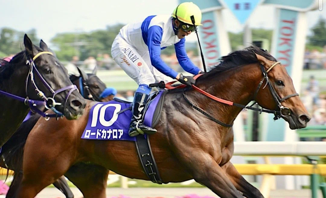ロードホースクラブ【今日の競馬知識vol.34】｜きりやま