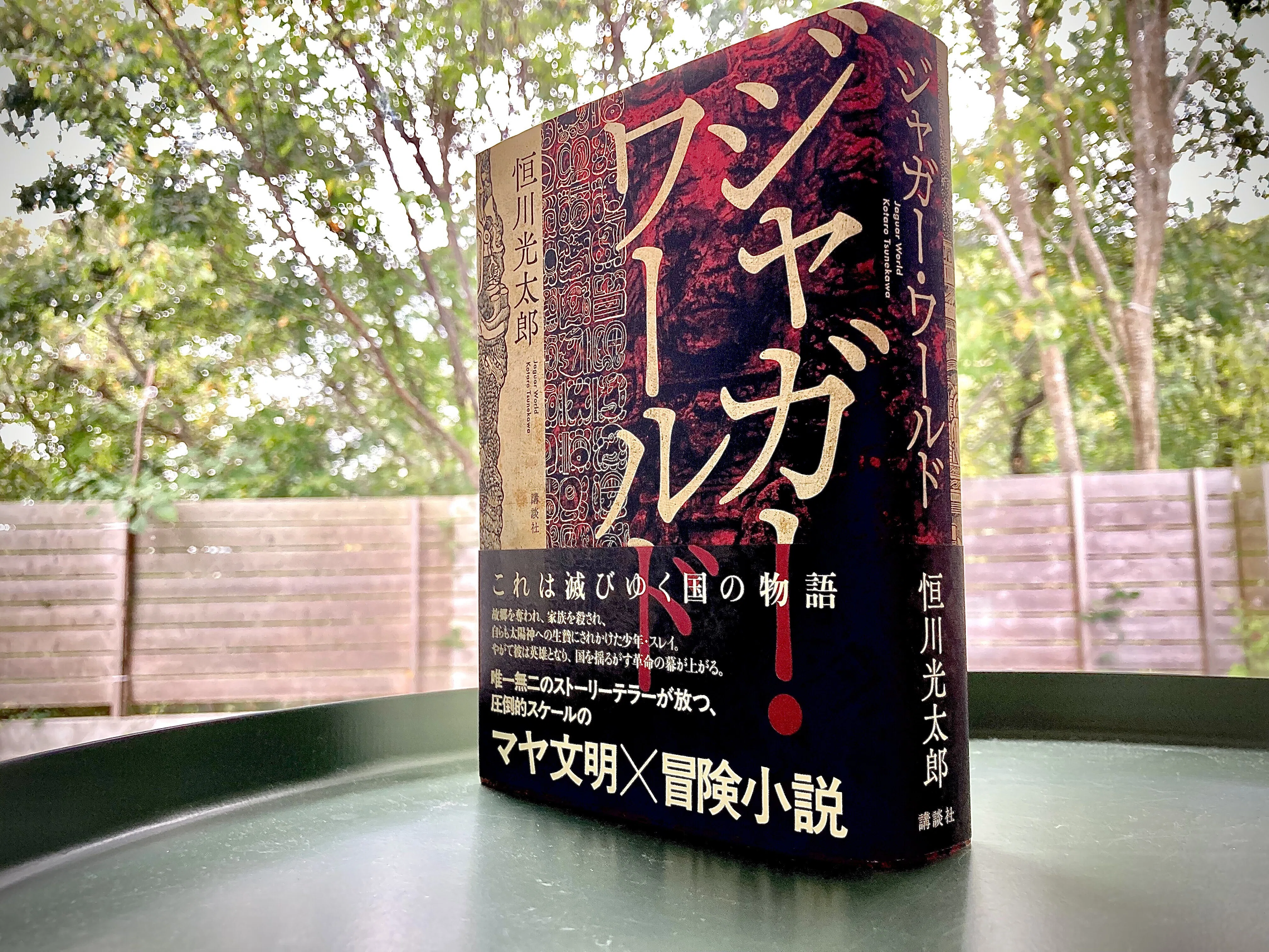 ♦︎ジャガー・ワールド恒川光太郎・直筆サイン本・未読 1761340146-