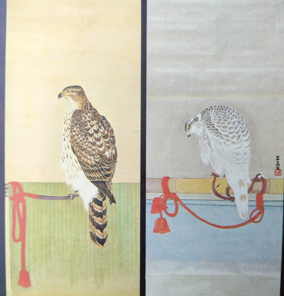 国宝」に描かれた鷹匠・鷹狩り その1 【26】｜鷹司