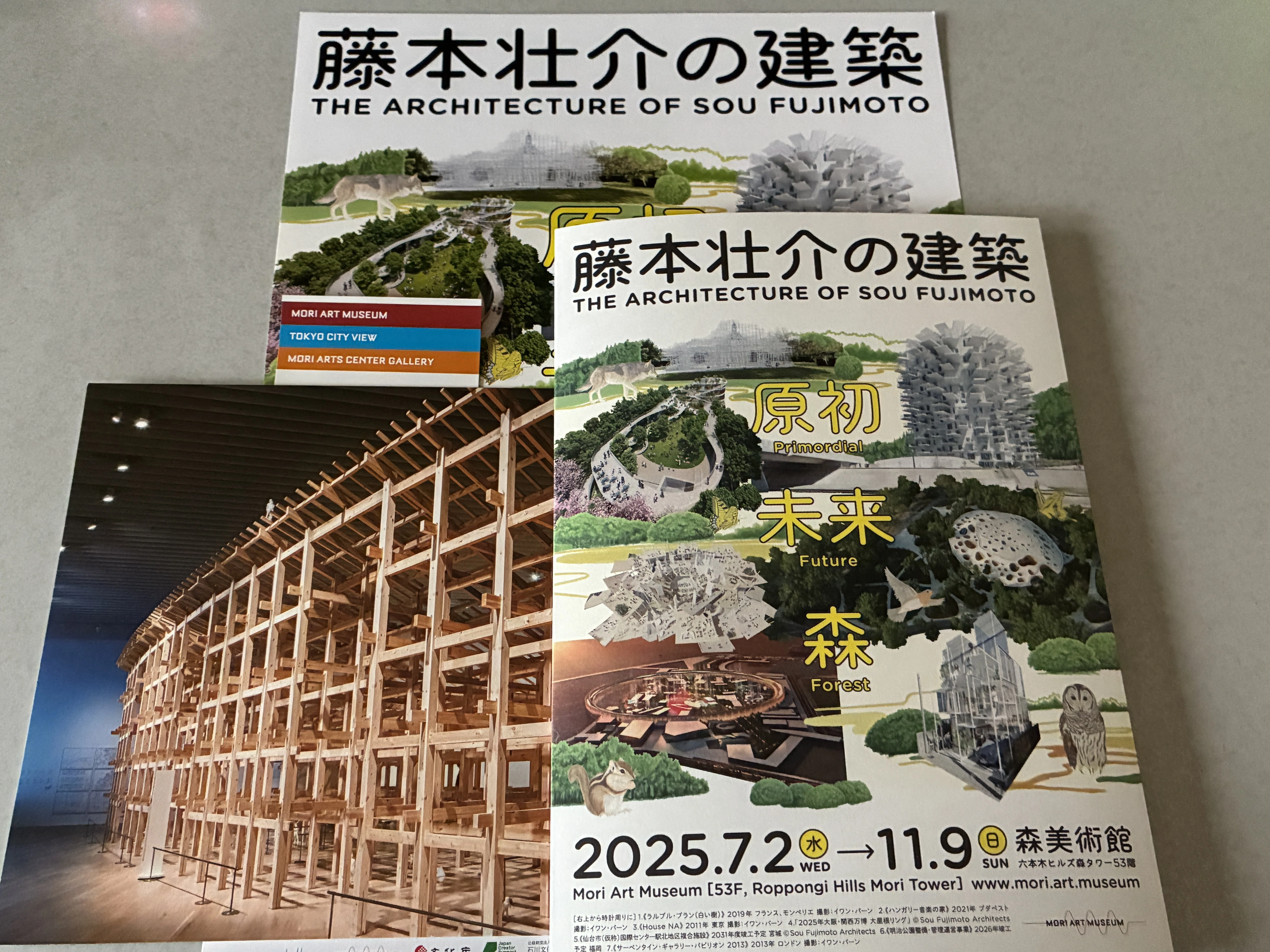 藤本壮介の建築：原初・未来・森』を見に行きました【森美術館】｜Mits