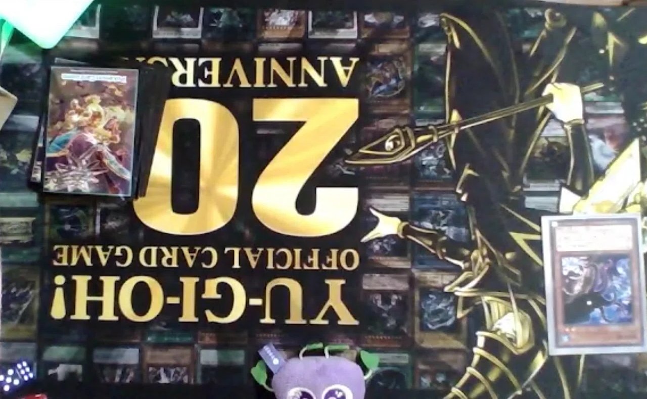 メルカリ便　新規入り白き森　大会優勝構築　スリーブ2重 メルカリ便新規入り白き森大会優勝構築スリーブ2重