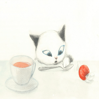 やりつづけるしかない」と挑み続けて12年～『のらねこノラ』出版までの