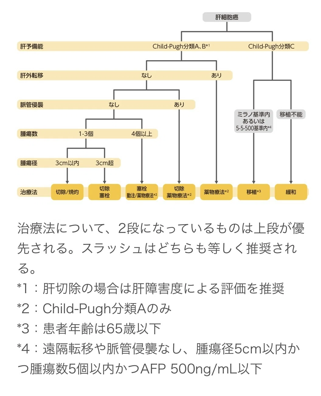 肝臓専門医試験2025対策 ++Part4++｜かまみむかもめ