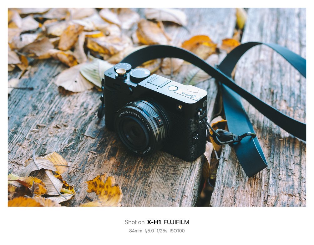 このカメラと生きていく｜鈴木ユートピア