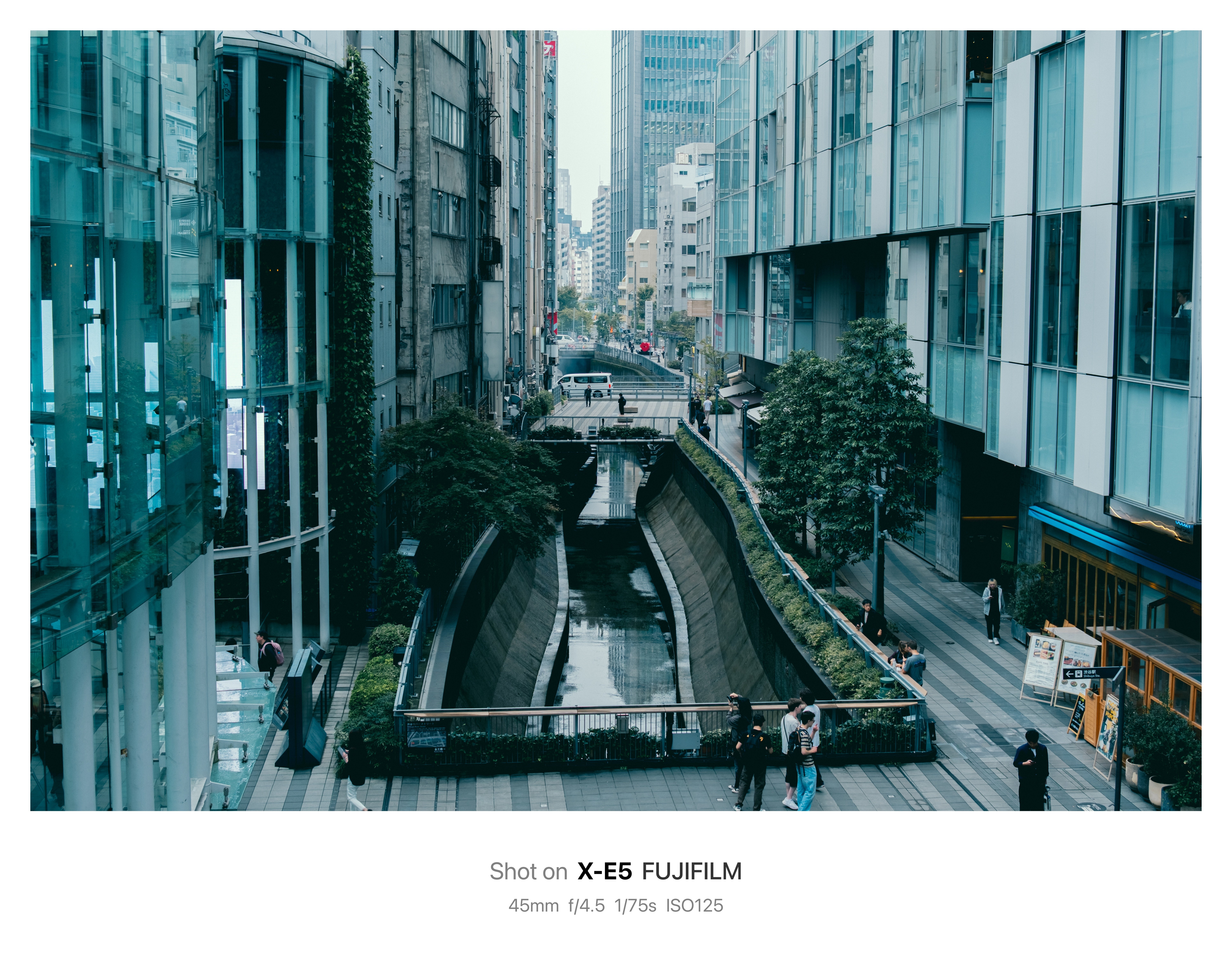 このカメラと生きていく｜鈴木ユートピア