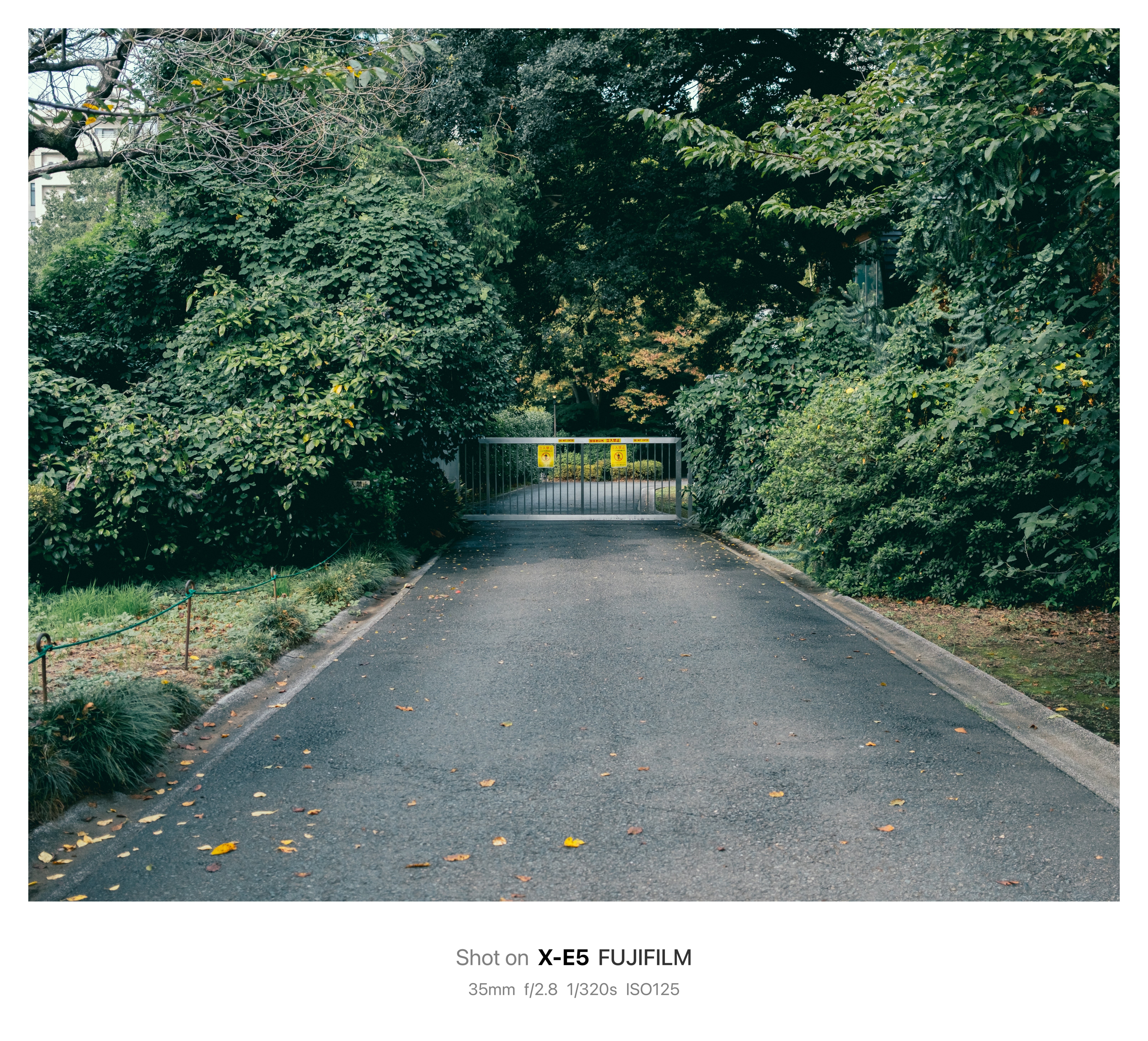 このカメラと生きていく｜鈴木ユートピア