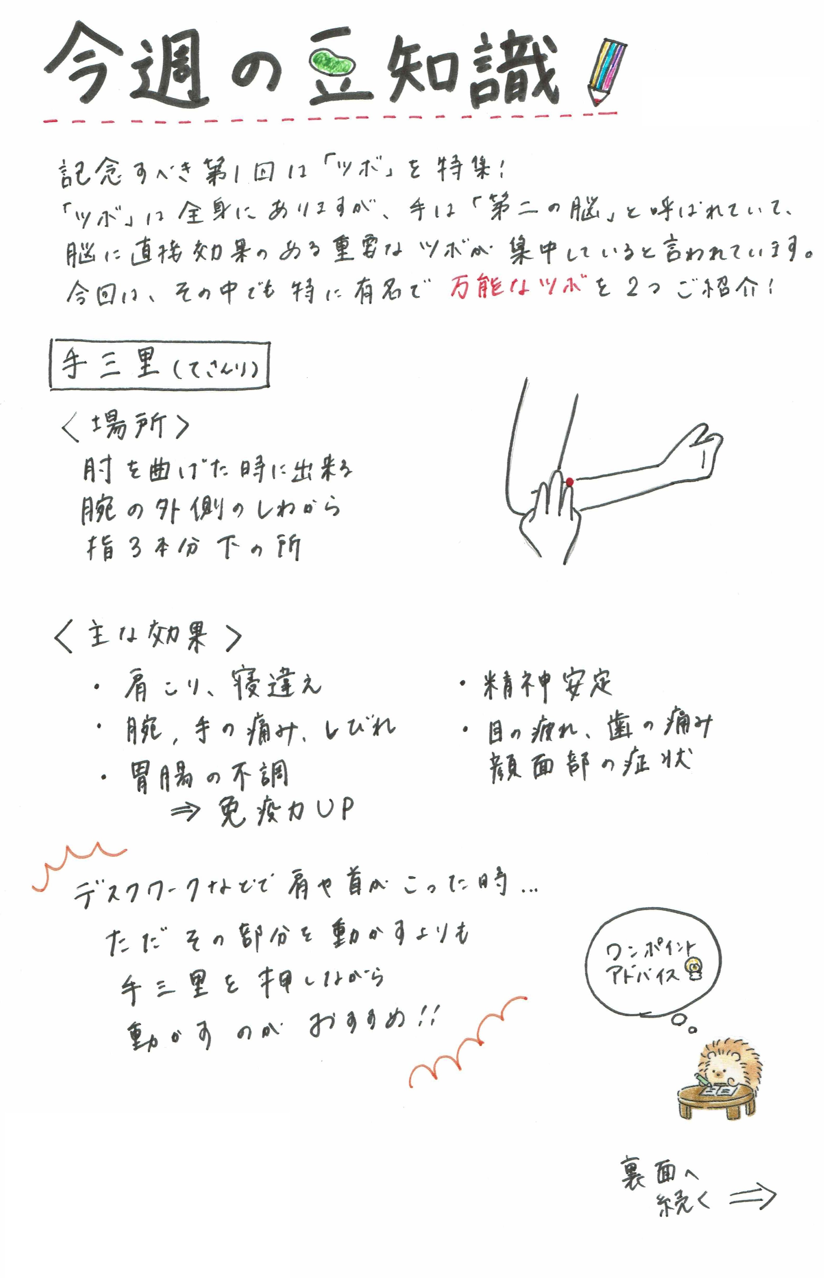 今週の豆知識】「ツボ」特集｜柊木もも