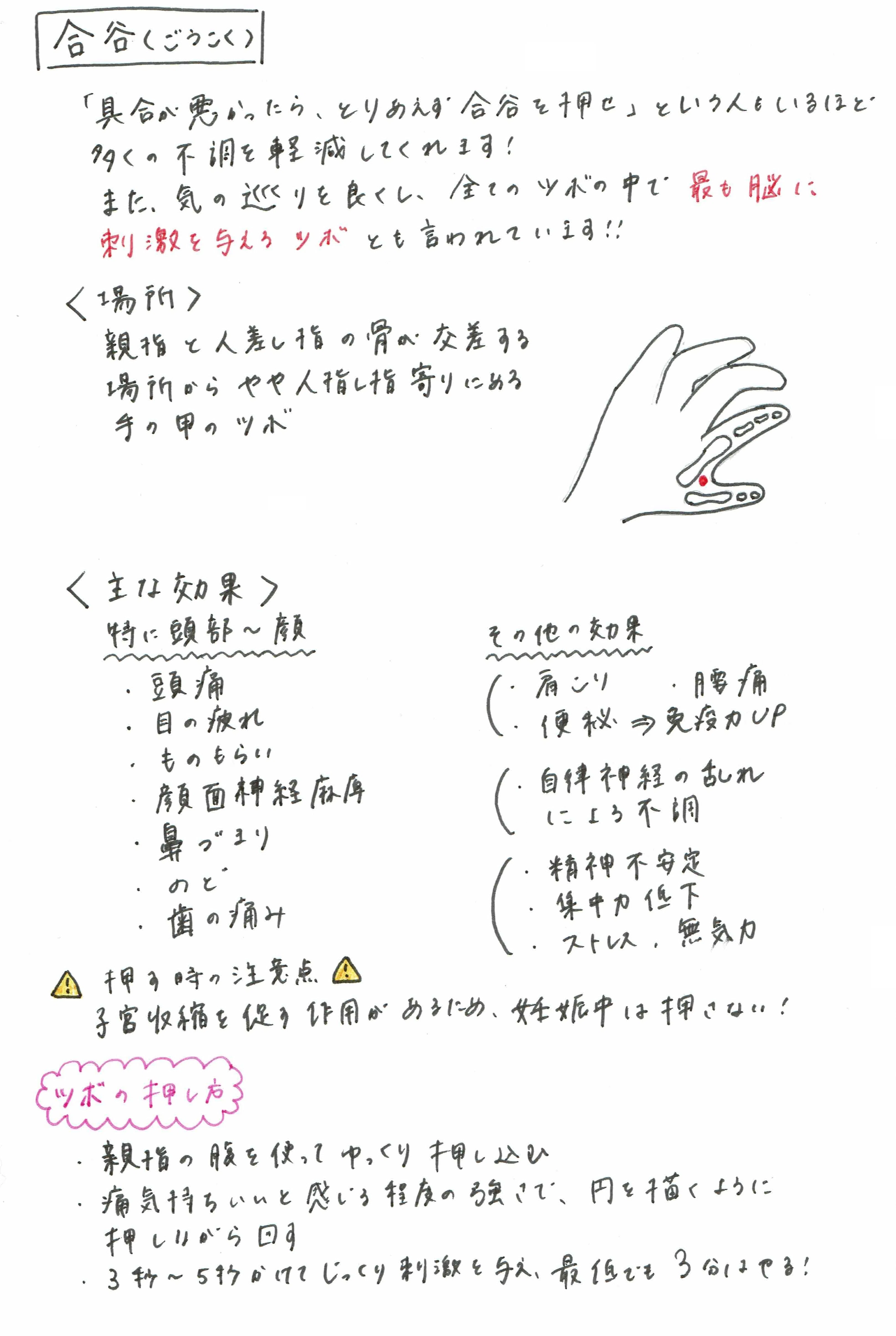 今週の豆知識】「ツボ」特集｜柊木もも
