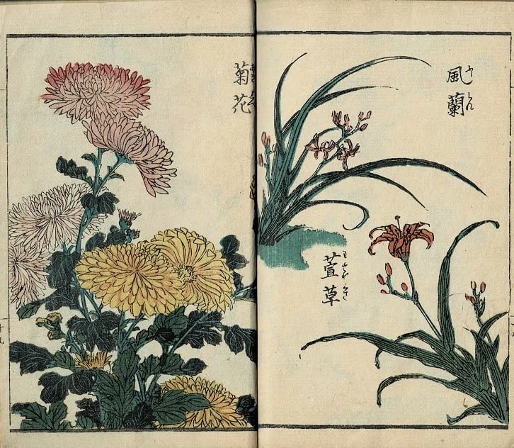 『艸花繪手本』Kusabana E-tehon(ita.)英泉漁翁[画]｜ars
