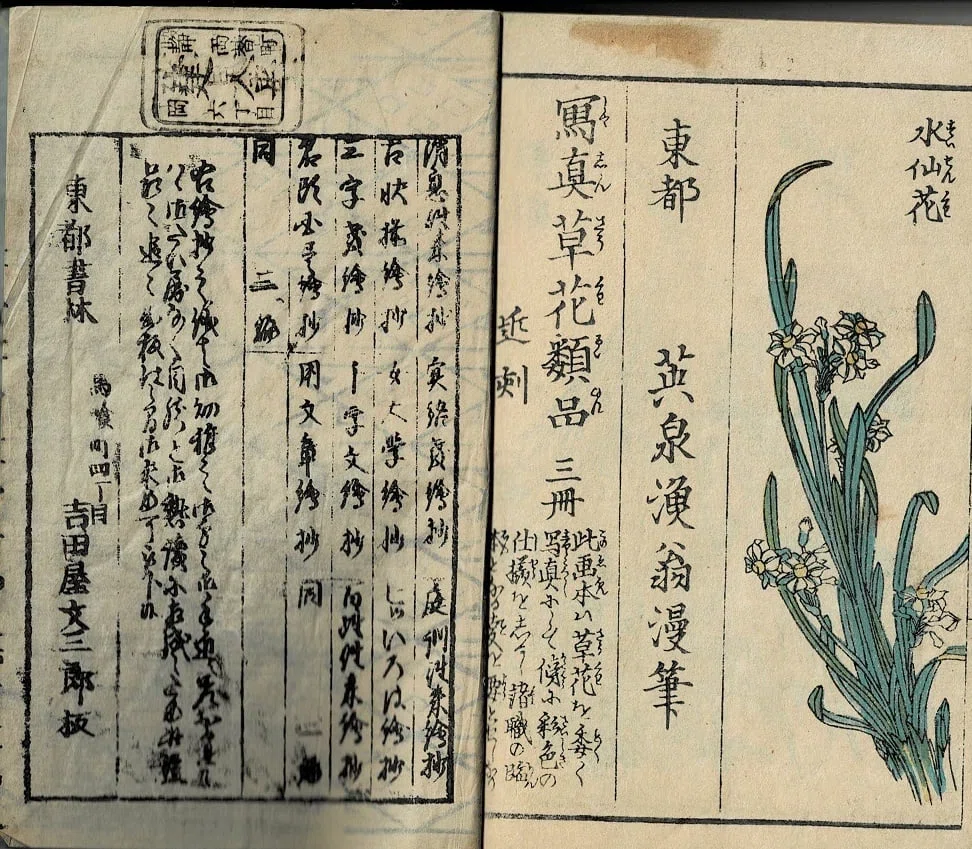『艸花繪手本』Kusabana E-tehon(ita.)英泉漁翁[画]｜ars