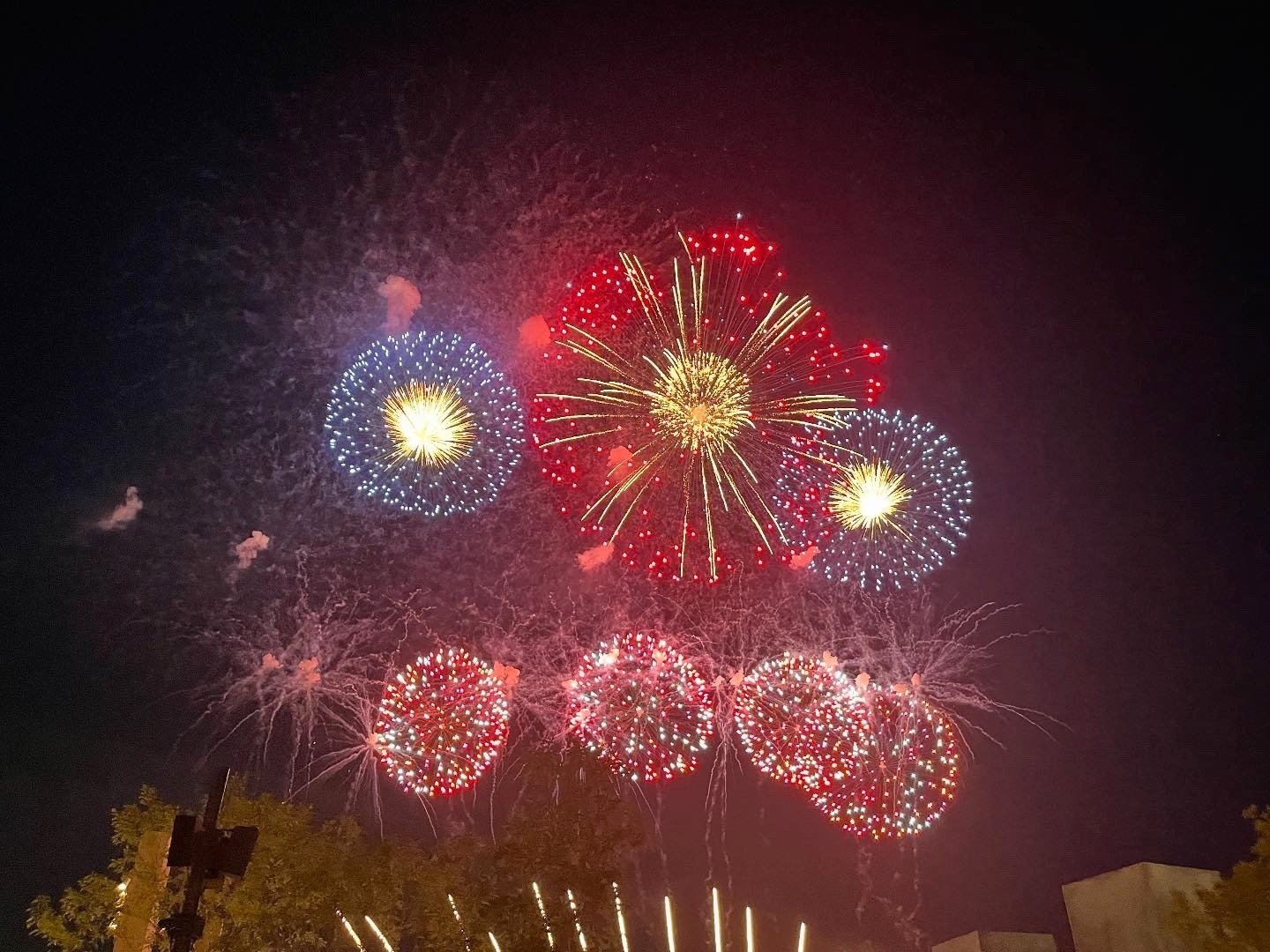 花パピエ 81KiA9wIs4L._AC_UF350,