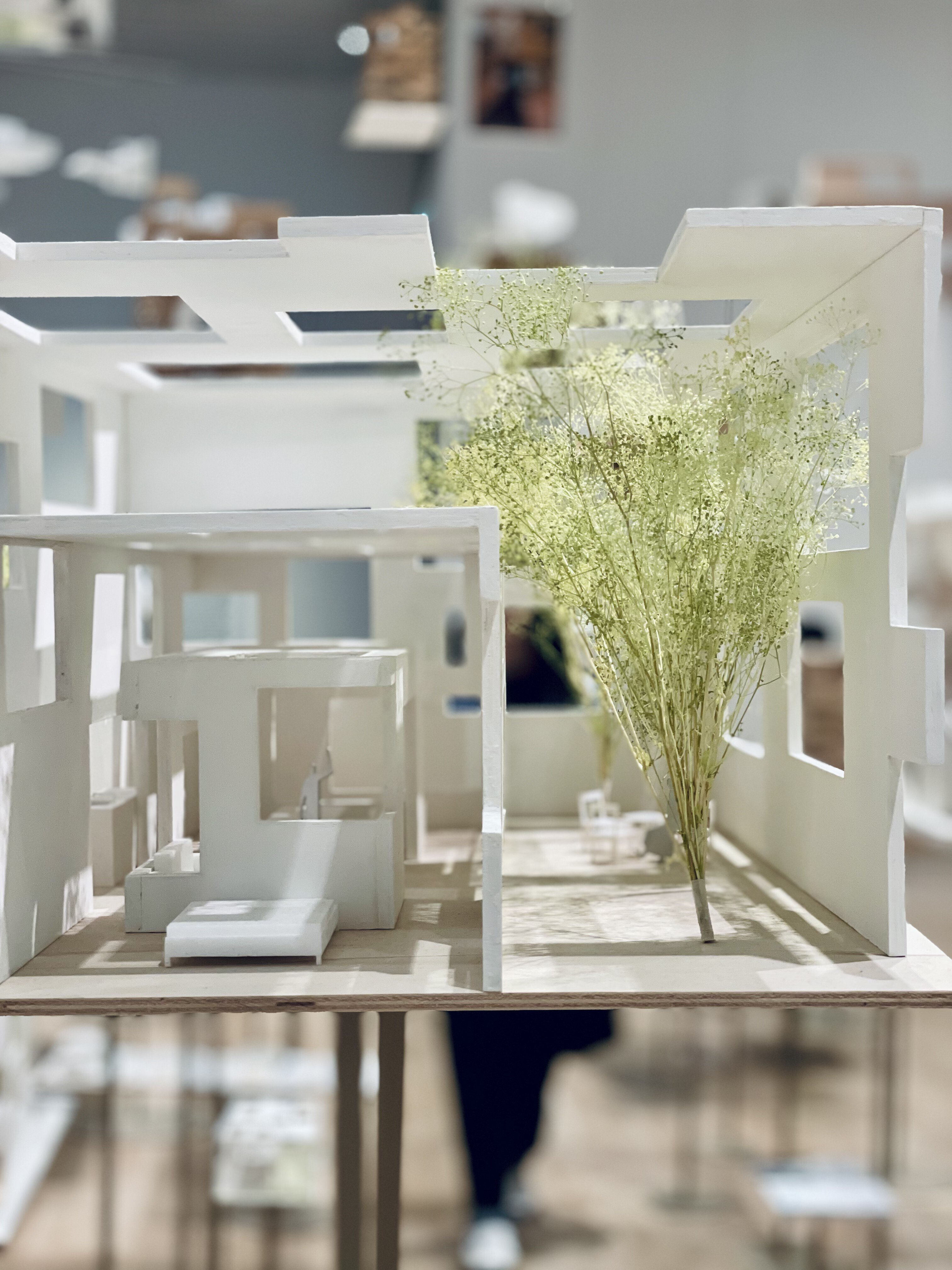 051 ｜ 藤本壮介の建築 原初・未来・森 