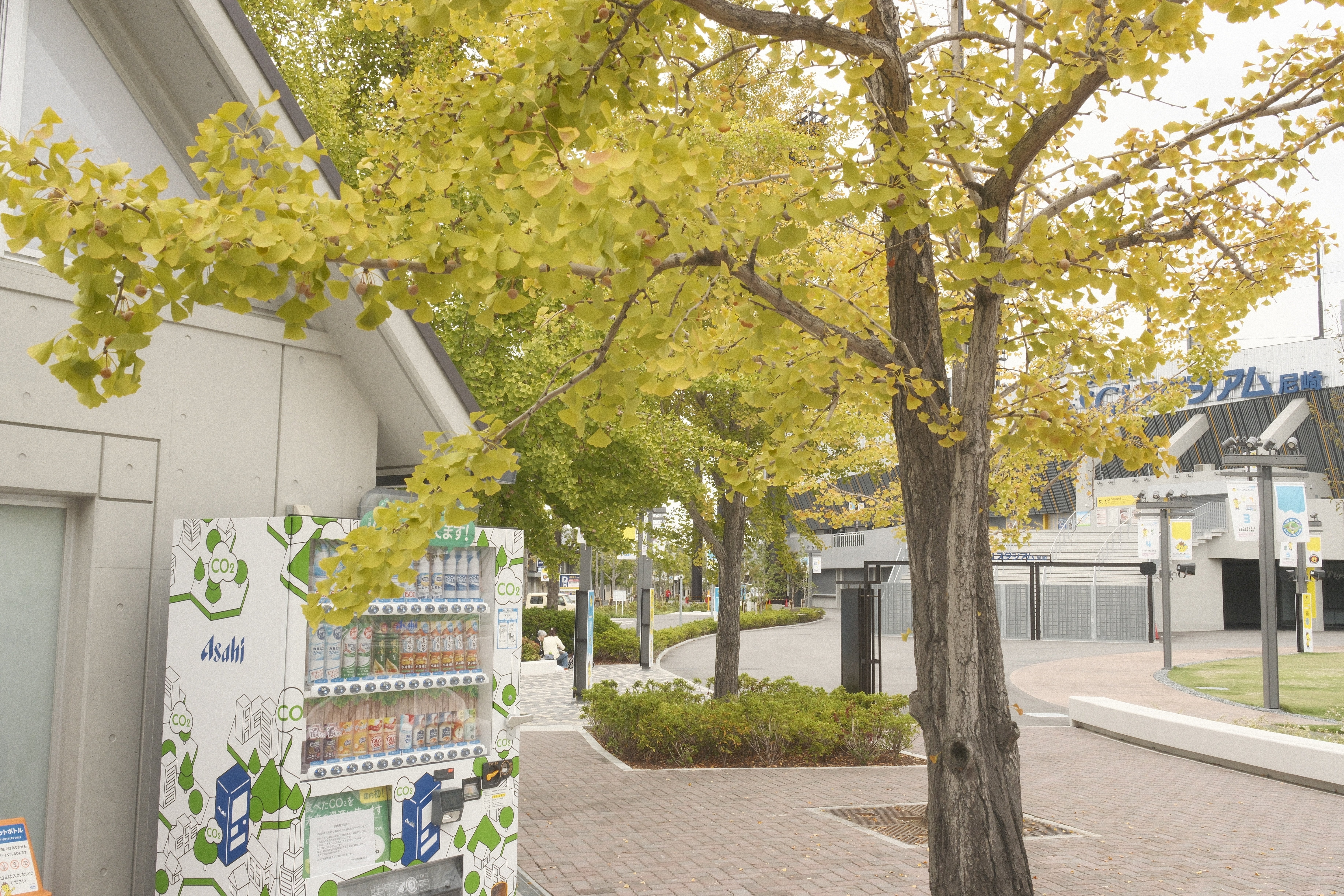 作例30枚】現在設定しているフィルムシミュレーションをまとめてみた