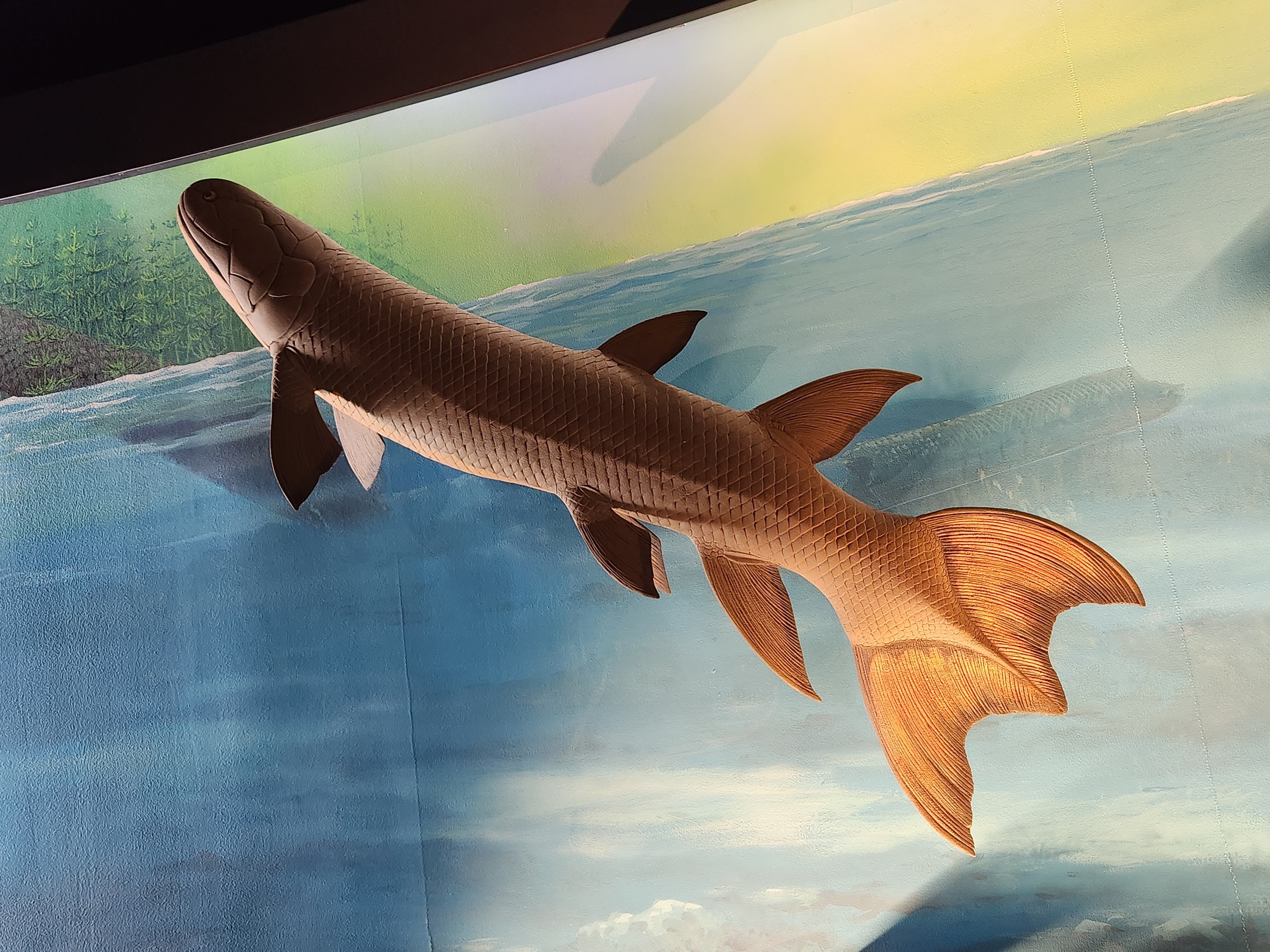 アクアマリンふくしま｜あおちどり