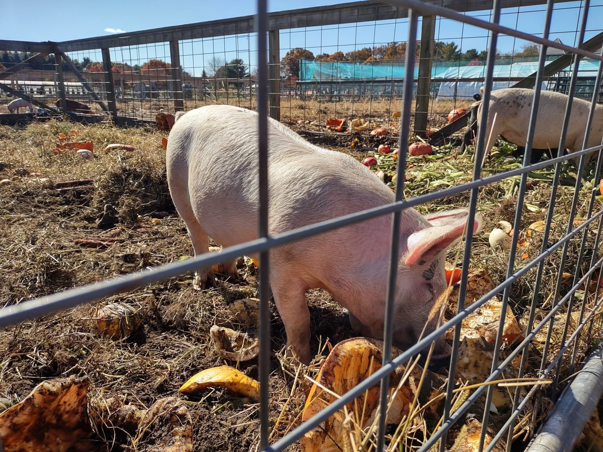 1761504188-KPjBa7YH0QwTJNeh3RD4q6Xn.jpg?width=1200