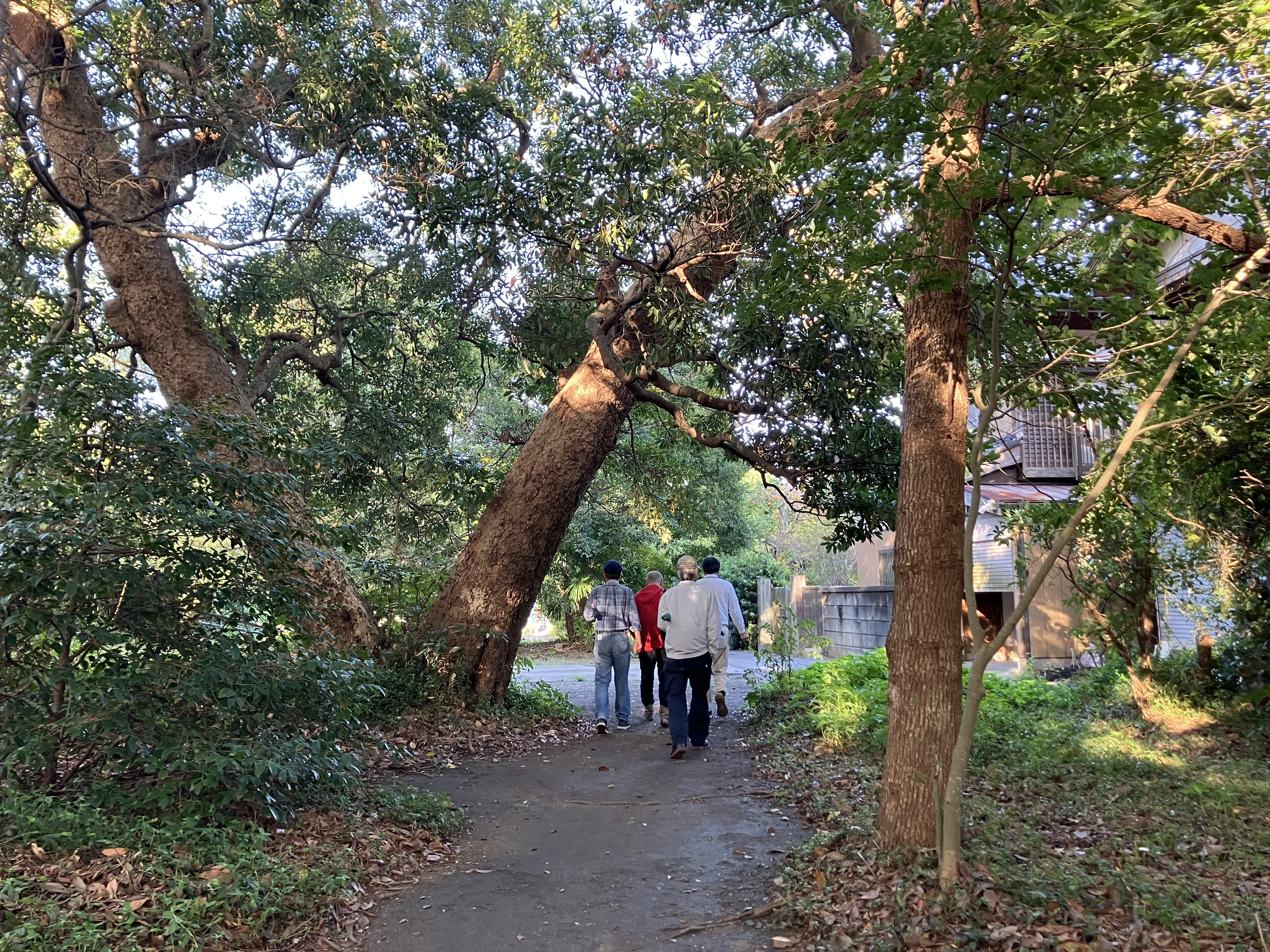 平手造酒の墓参りと『天保水滸伝』史跡巡り👣東庄町尺八探訪②｜kataha