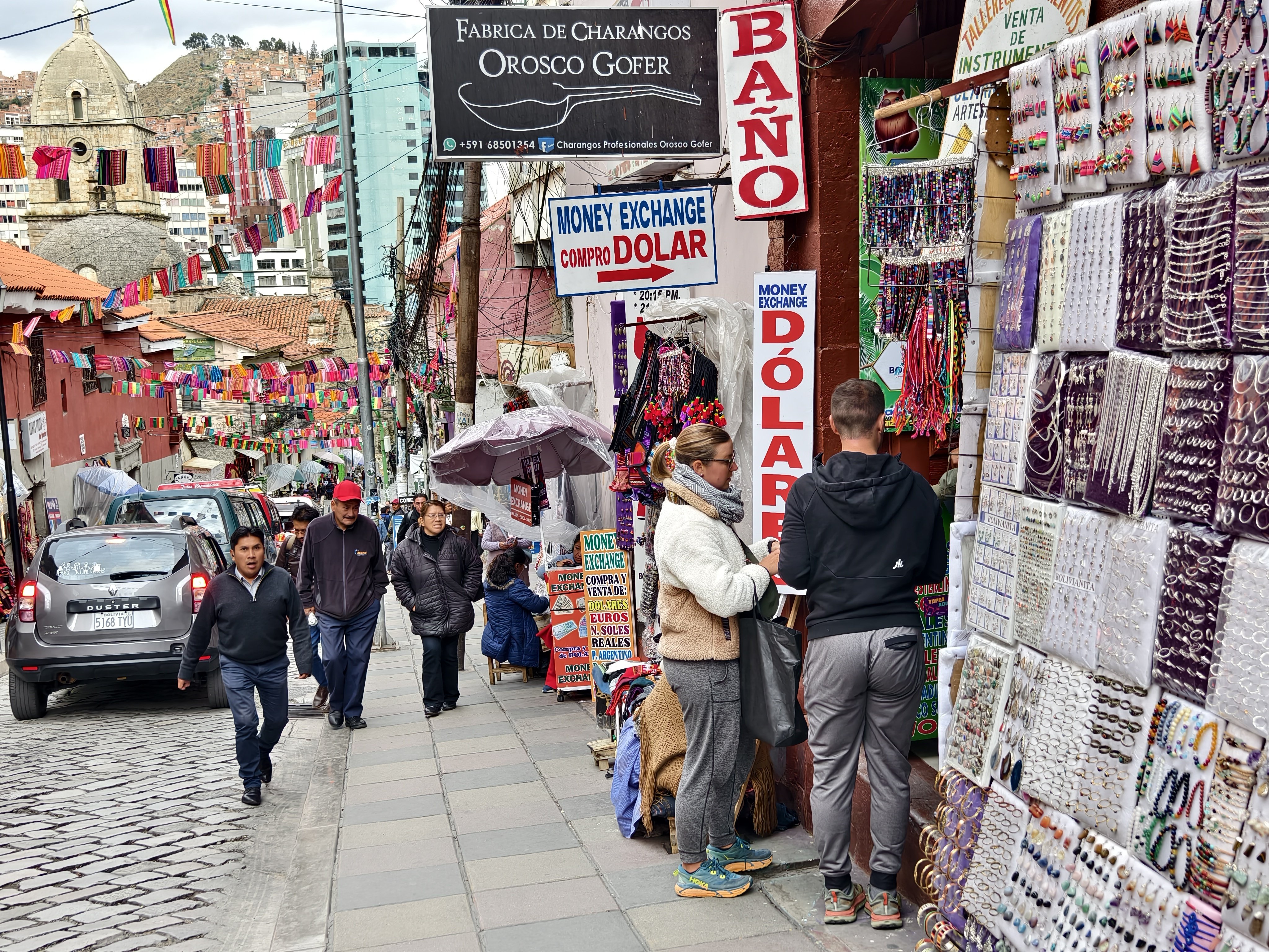 2025年】ボリビア旅行のヒント｜ピサン・ザプラ/南米旅