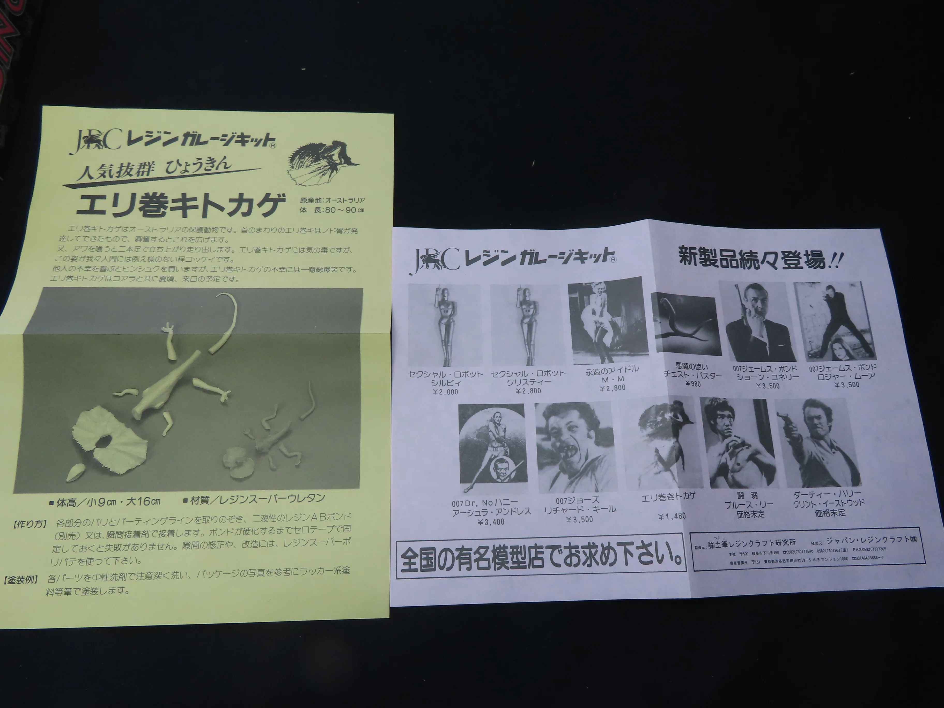 変わり種】エリマキトカゲ3種｜積みプラ大好きオヤジ