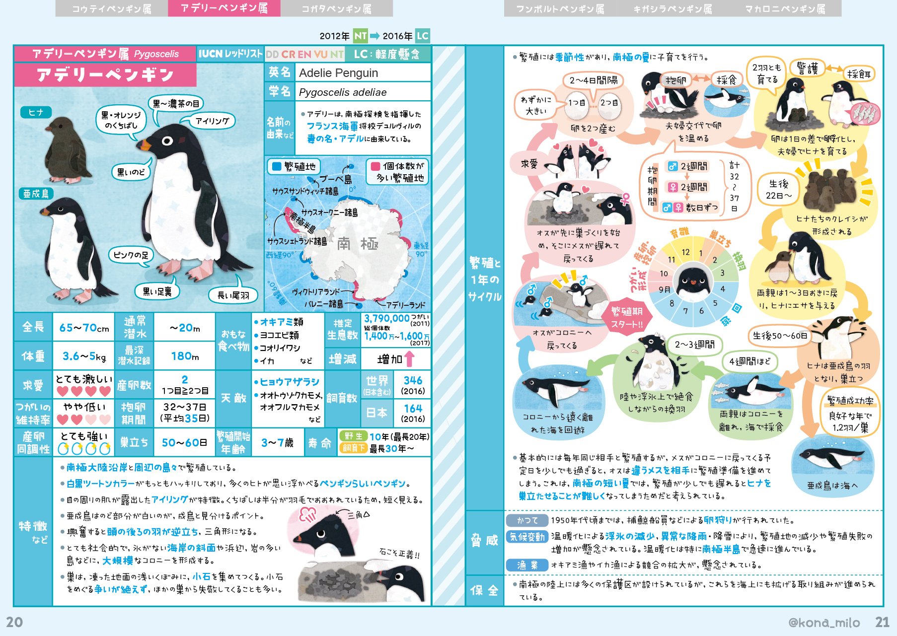 ペンギン繁殖地マップ｜キクチミロ