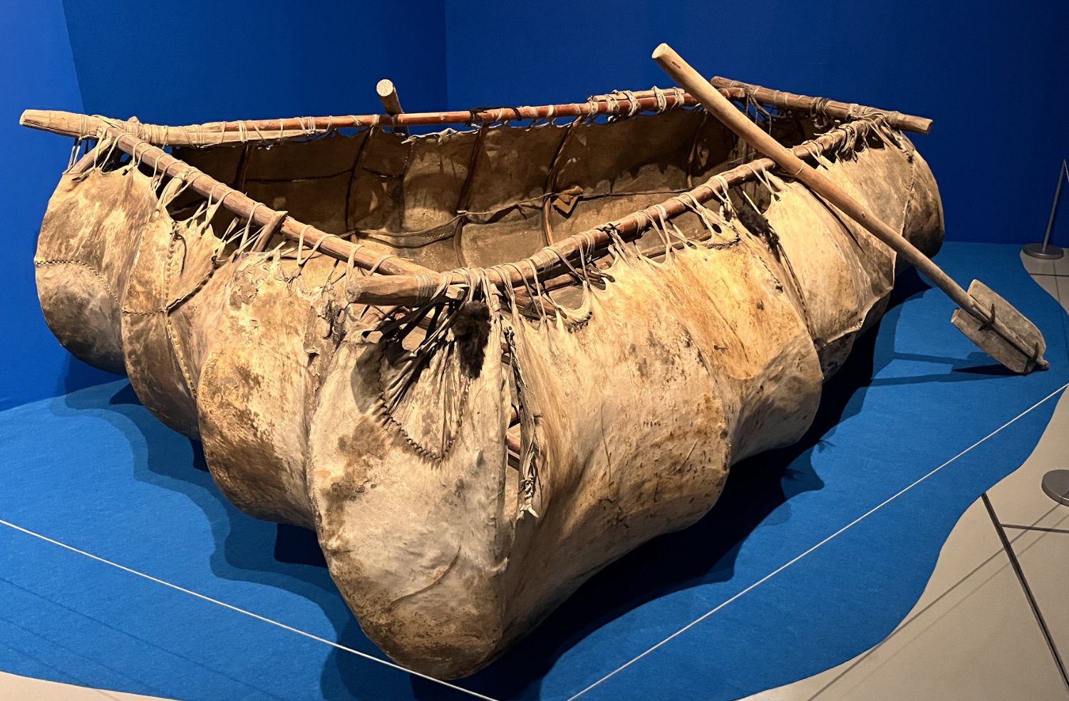 国立民族学博物館 特別展 「舟と人類―アジア・オセアニアの海の暮らし