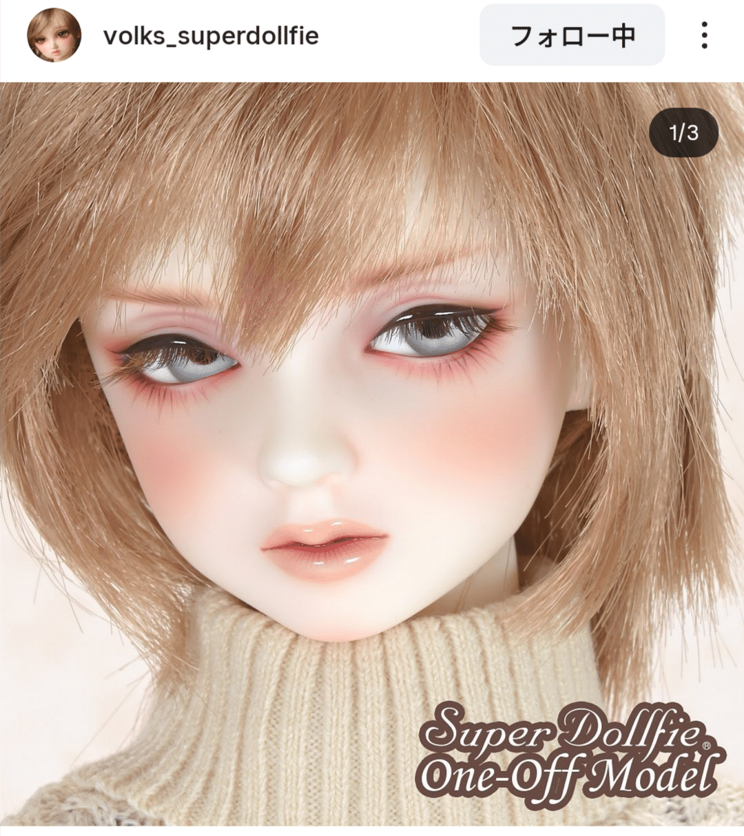 4年間恋焦がれていたドールお迎え 〜ロジェ来たる〜｜わんちゃ