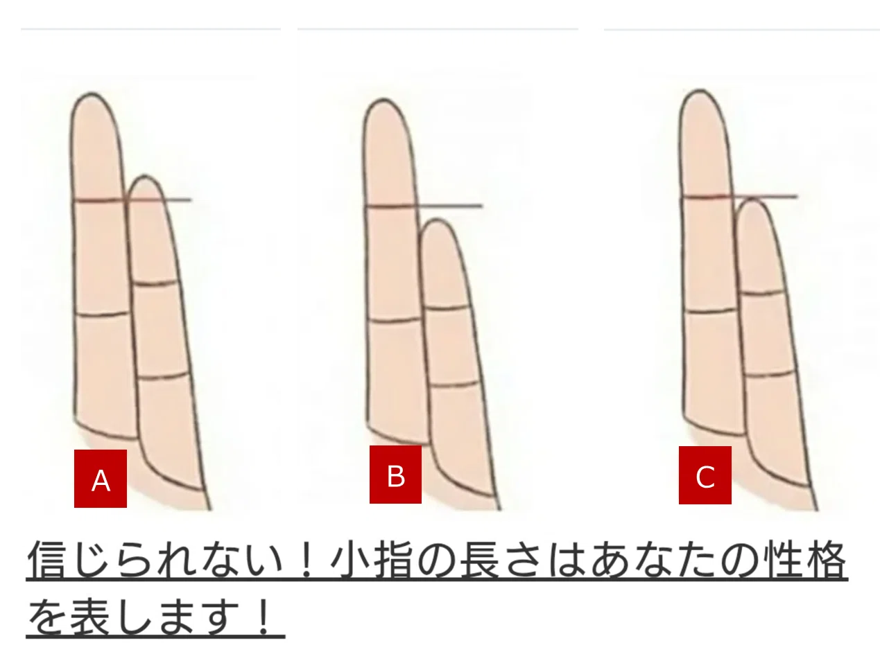 小指 の 長 さ