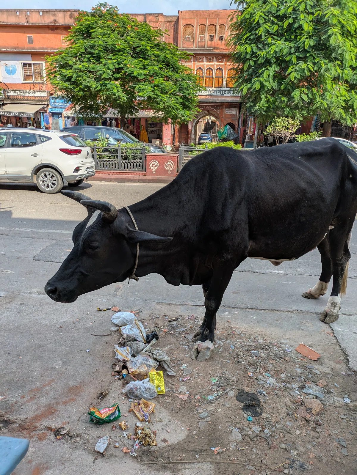 [🇮🇳 India Travelogue ④] 🥛 Getting Drenched in Lassi in Jaipur [Days 6 ...