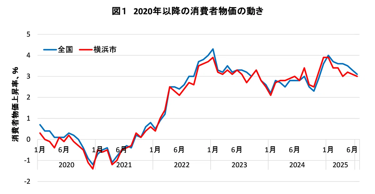 小売物価データで見る物価上昇の姿－近年の物価上昇のもとで一番値上がりしているものは何？－｜神奈川大学ノート