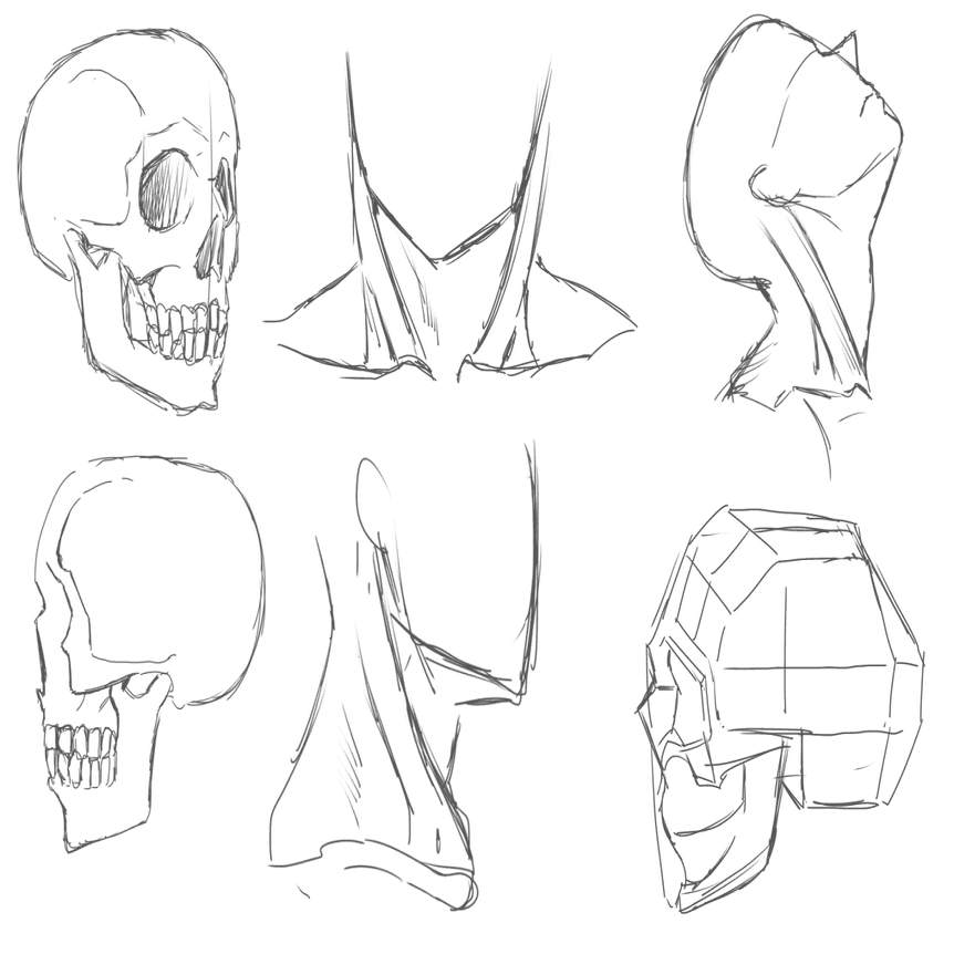 スカルプターのための美術解剖学で顔を描く練習をしてみた｜お絵かき