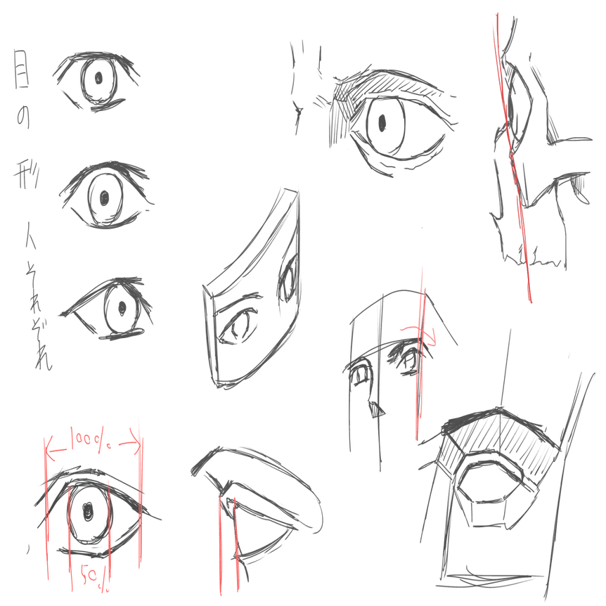 スカルプターのための美術解剖学で顔を描く練習をしてみた｜お絵かき
