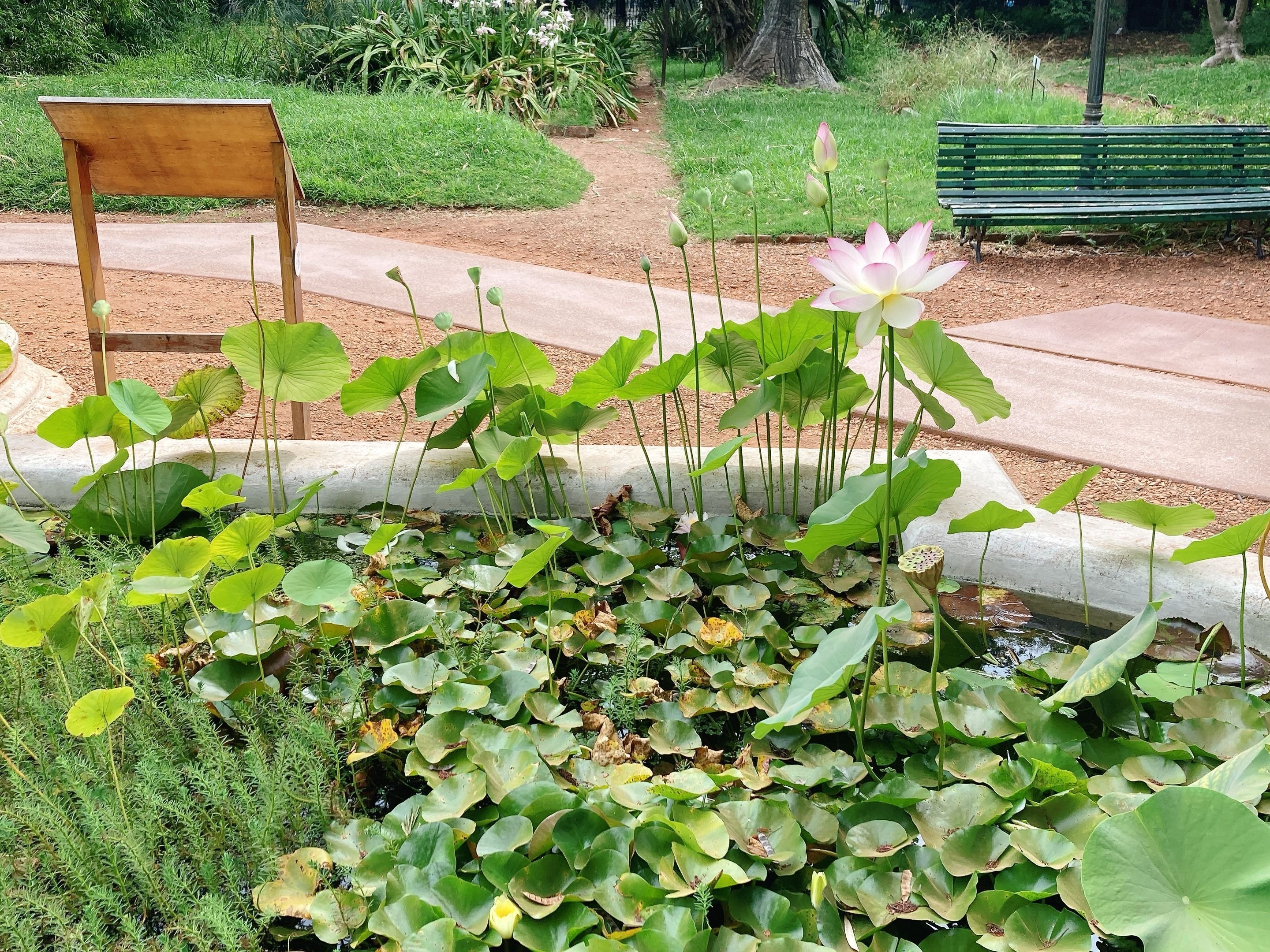 アルゼンチン11】ブエノスアイレス③｜Mai