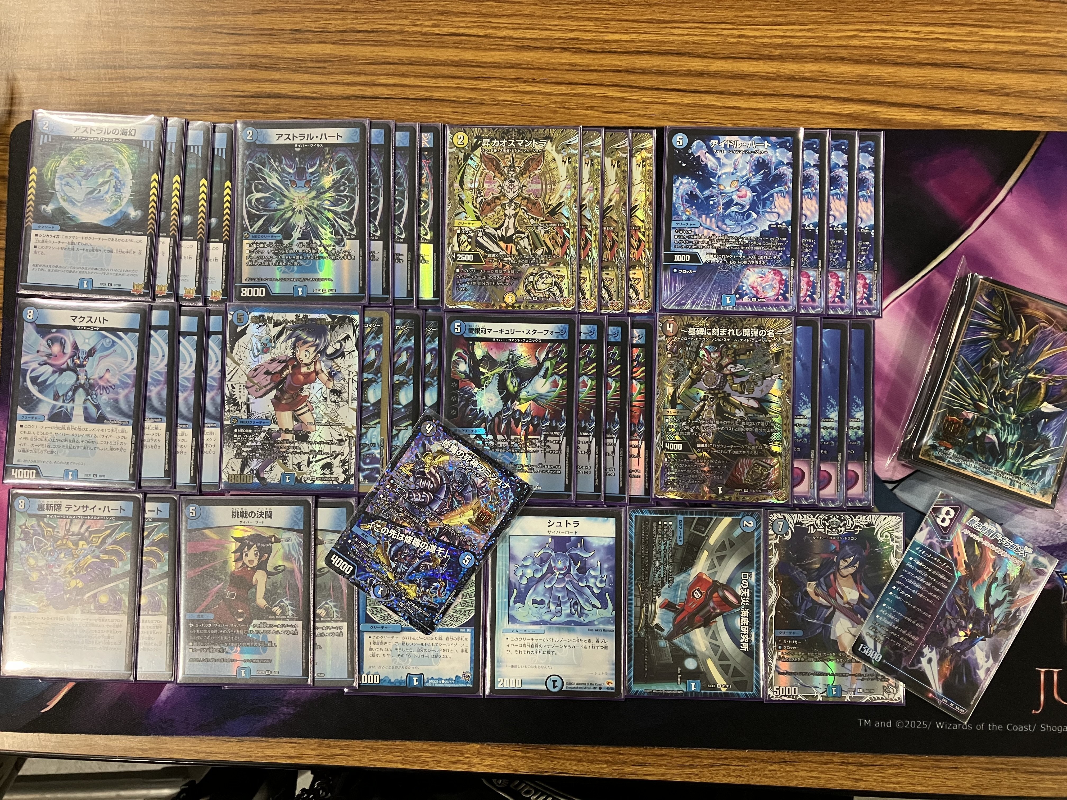 DMGP2025 2ndの振り返り｜今からでも入れる保険