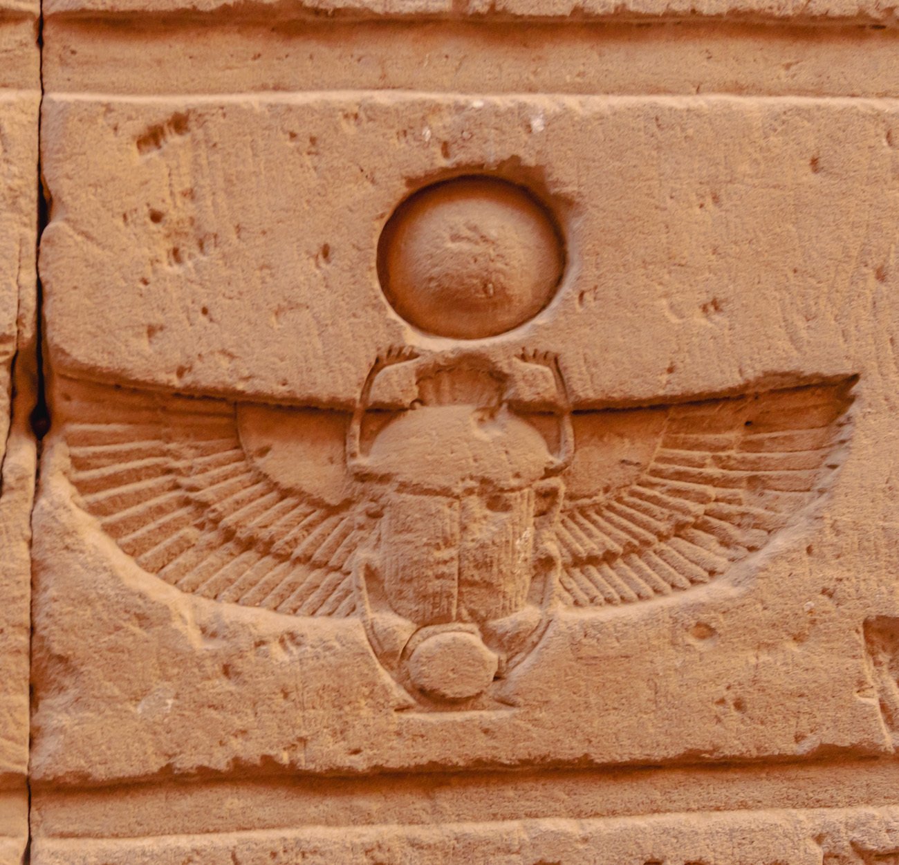 2025天皇賞秋ポスター｜日本サイン競馬会