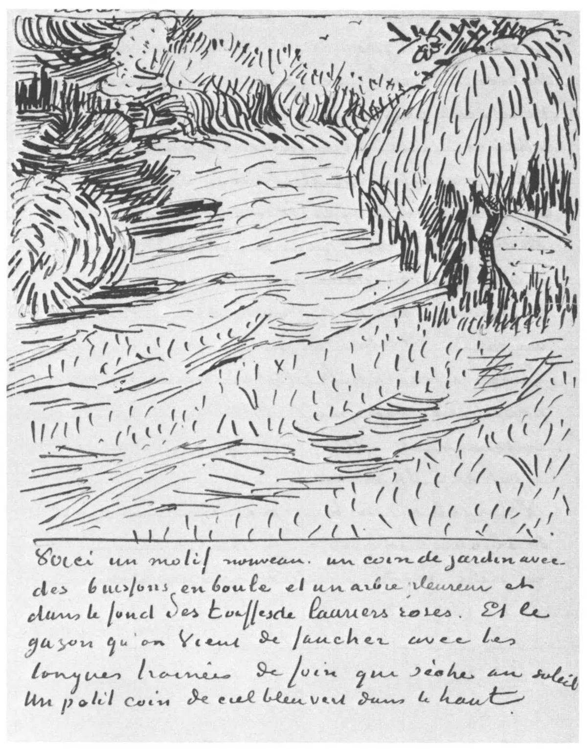 抄訳）Van Gogh in Arles: アルルのファン・ゴッホ—Part 3 | Ronald 